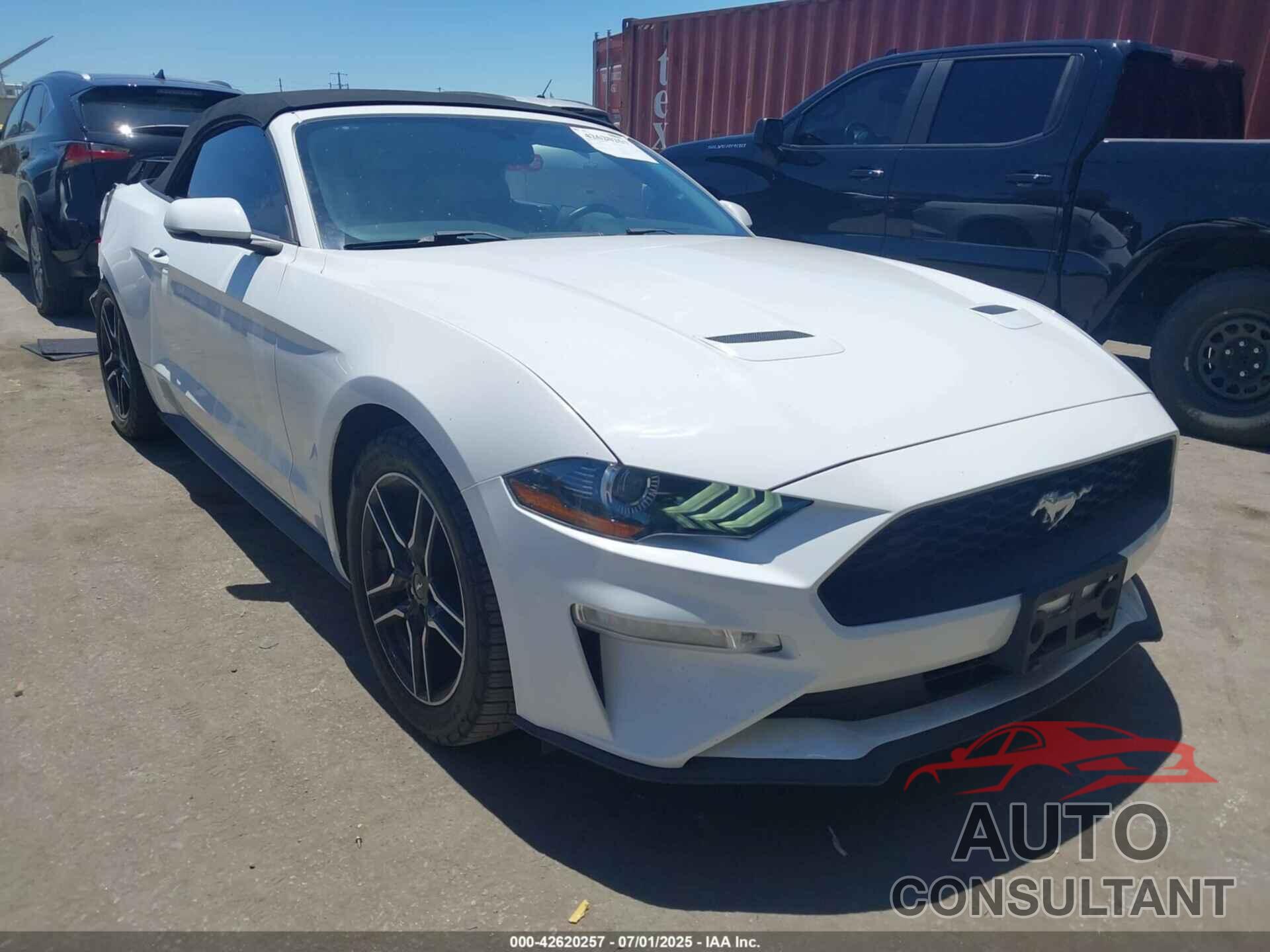 FORD MUSTANG 2019 - 1FATP8UH3K5131488
