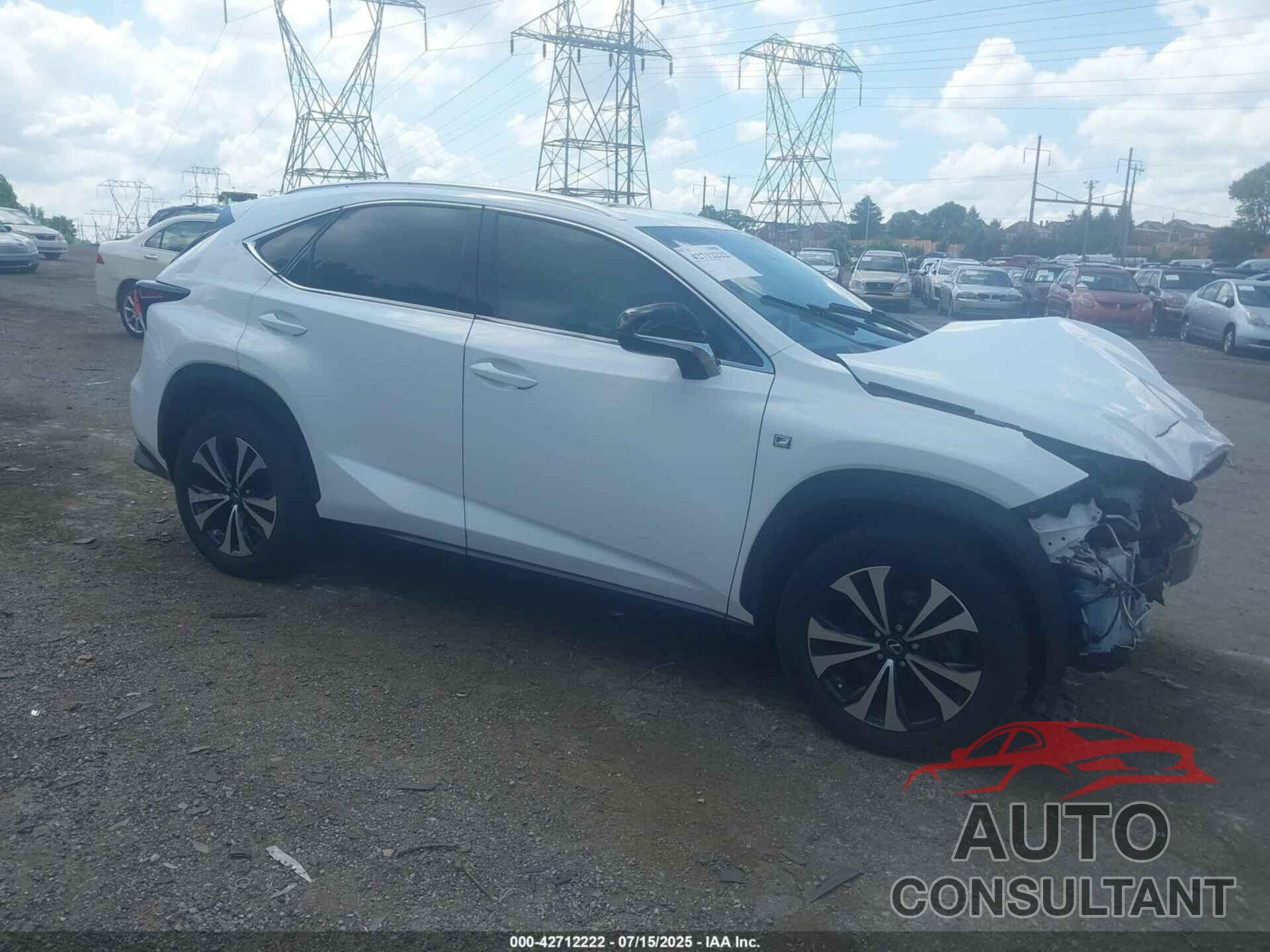 LEXUS NX 300 2019 - JTJBARBZ6K2207650