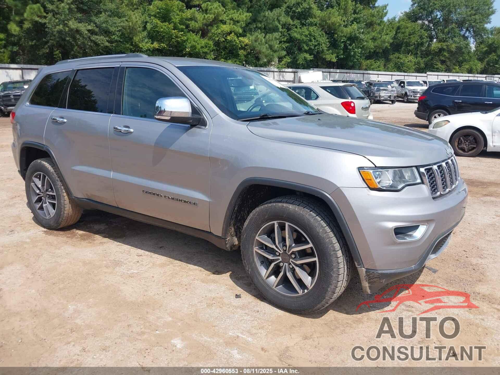 JEEP GRAND CHEROKEE 2019 - 1C4RJEBGXKC731094