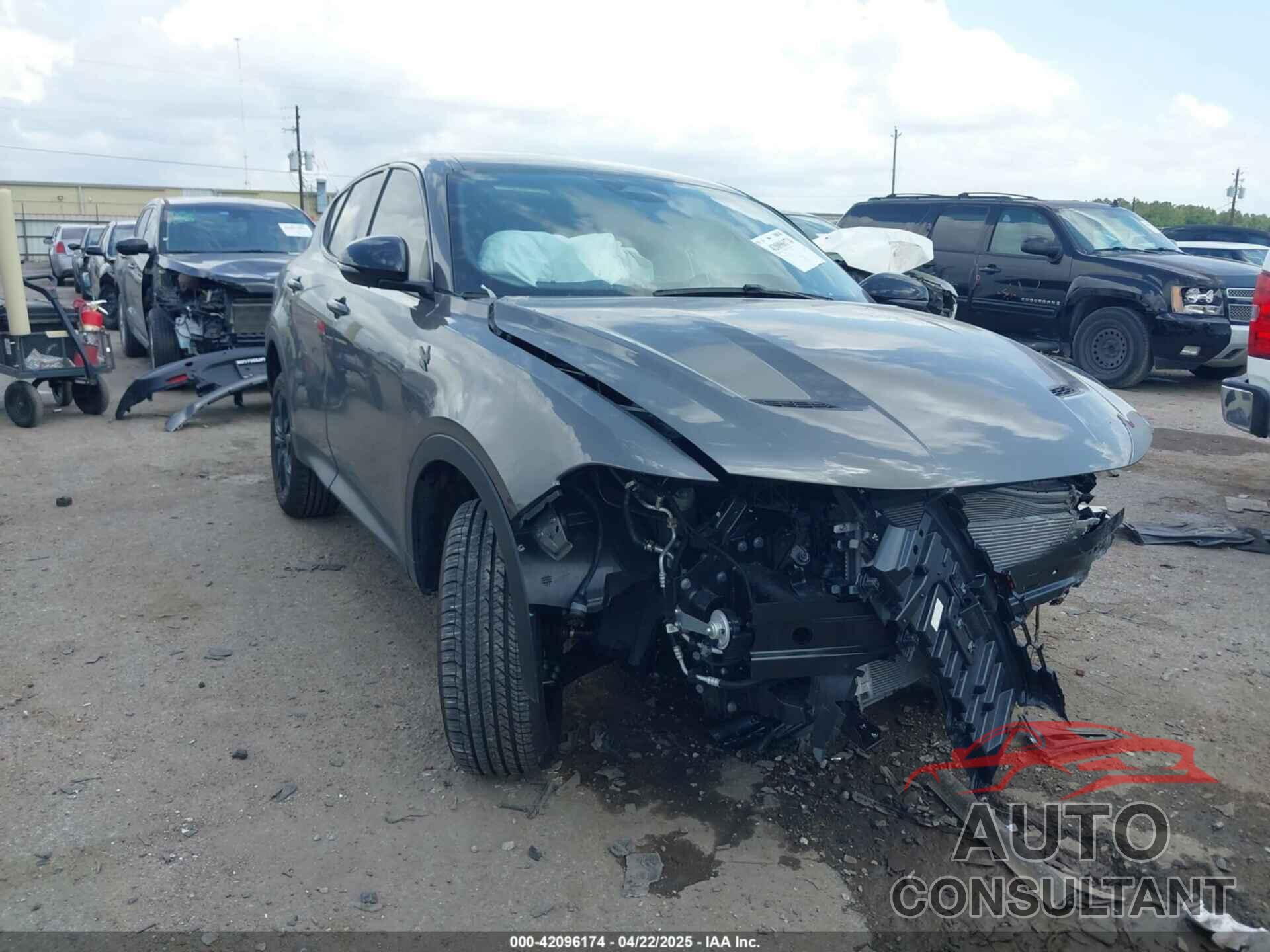 DODGE HORNET 2024 - ZACNDFANXR3A37627