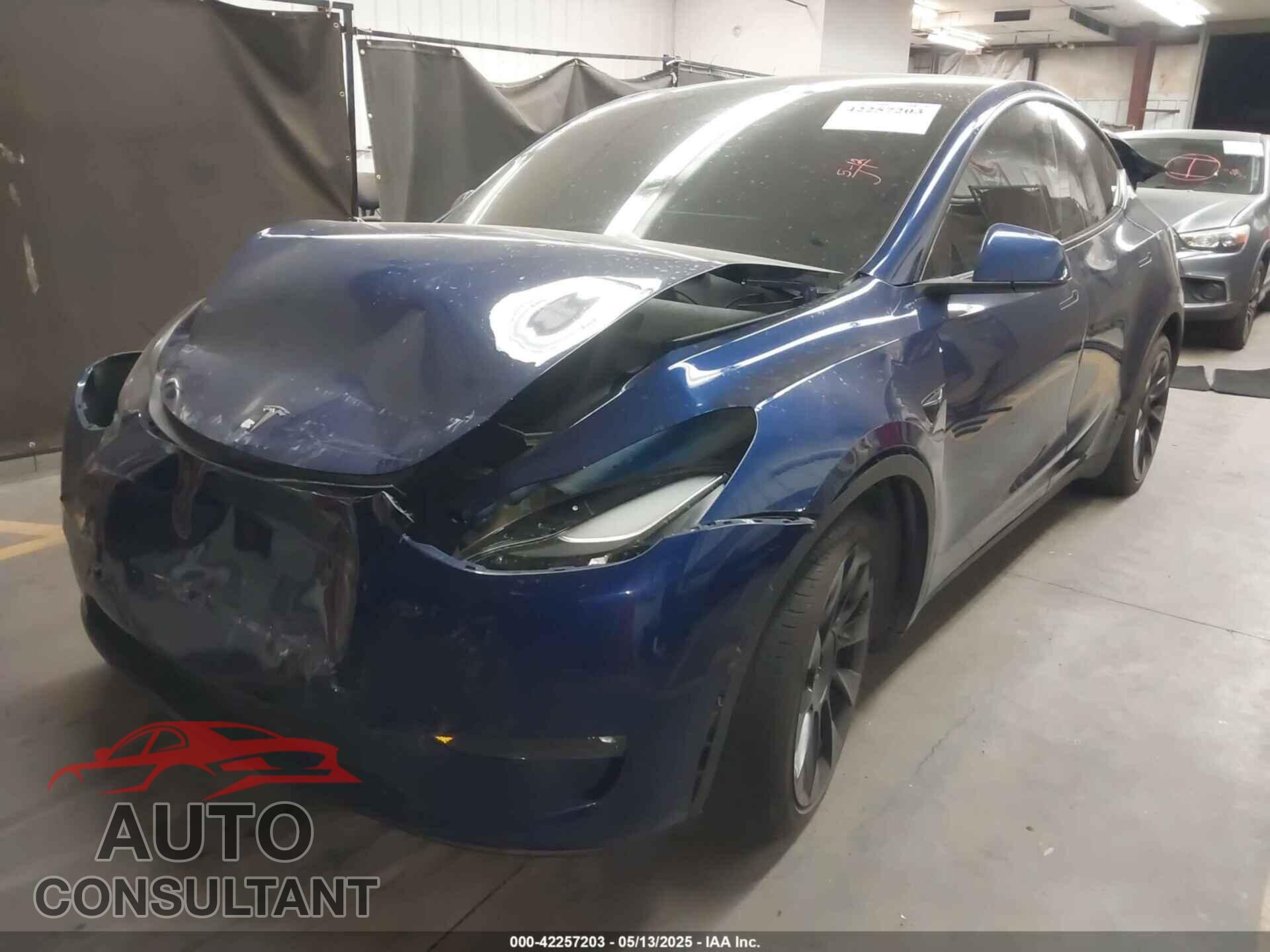 TESLA MODEL Y 2023 - 7SAYGAEE2PF773382