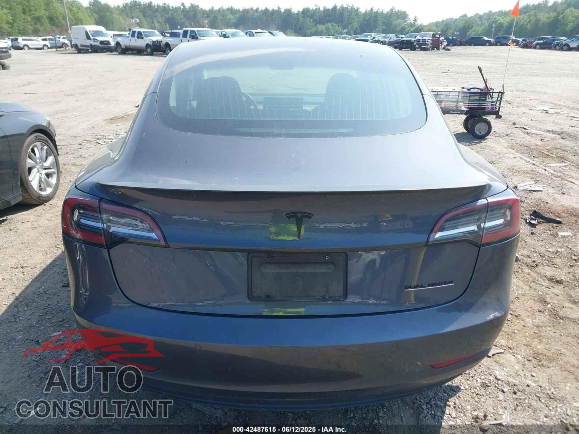TESLA MODEL 3 2019 - 5YJ3E1EB6KF231195