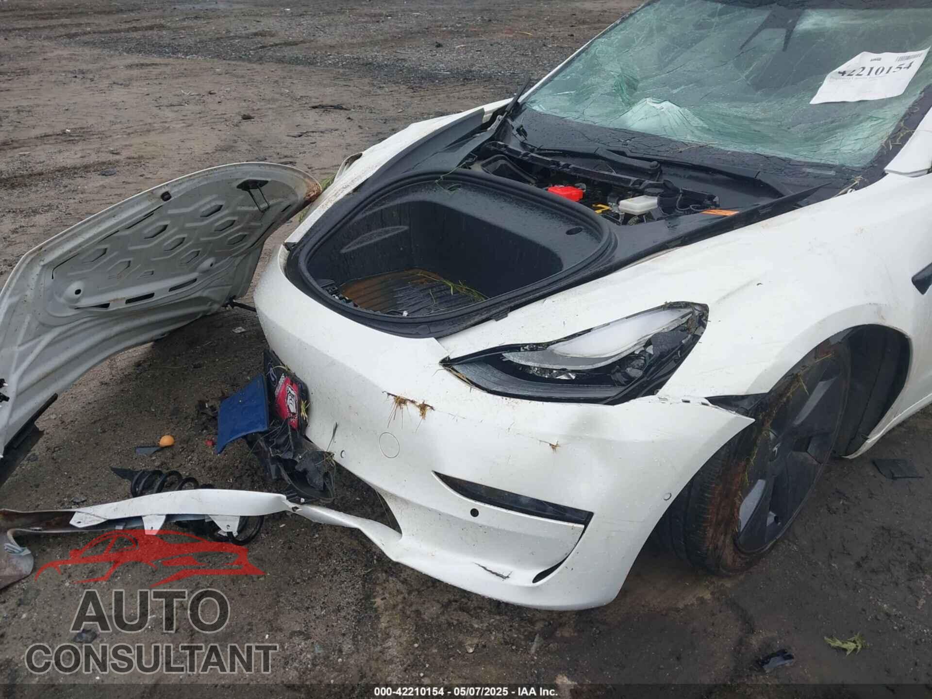 TESLA MODEL 3 2021 - 5YJ3E1EA9MF029154