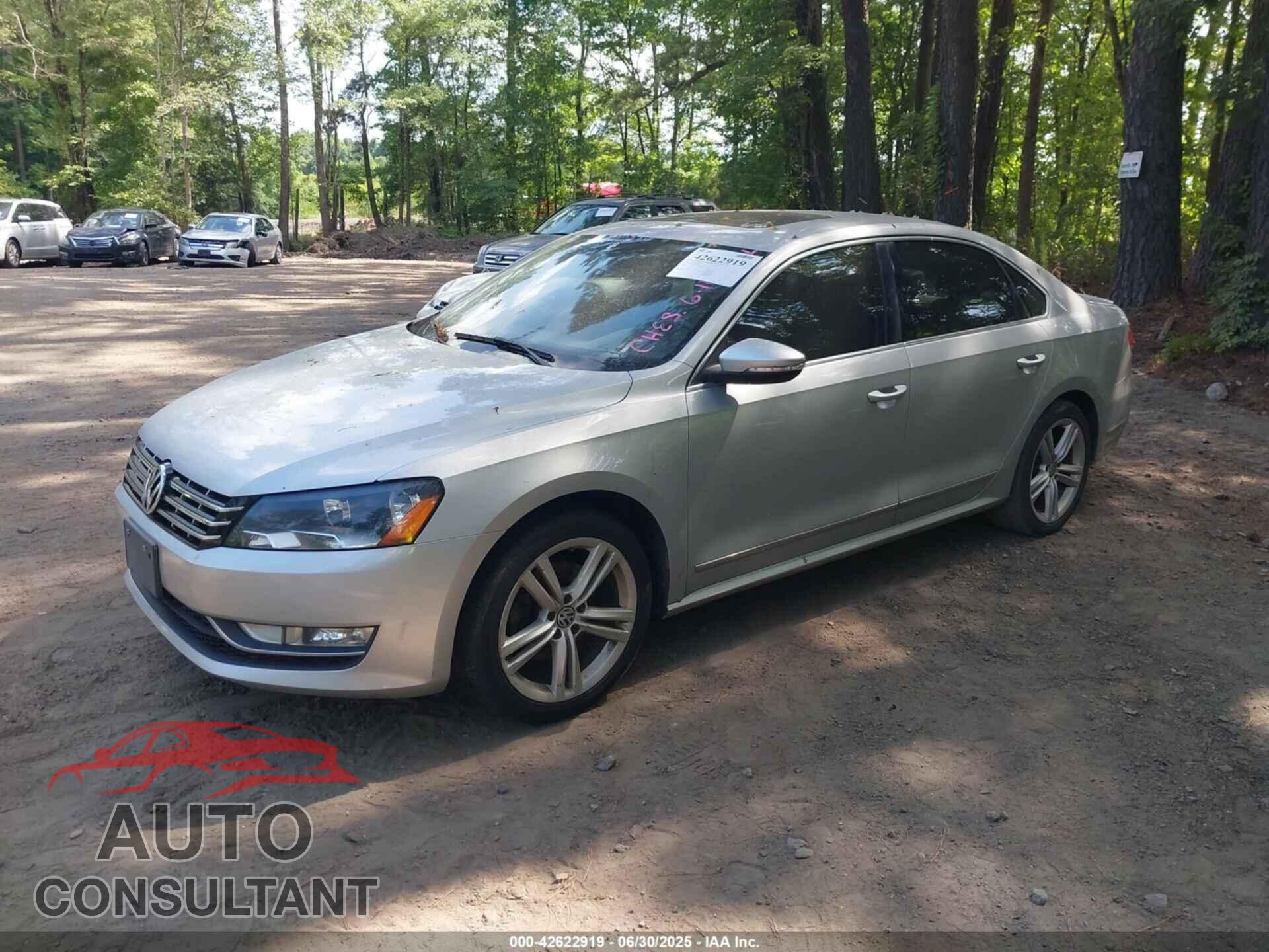 VOLKSWAGEN PASSAT 2013 - 1VWCN7A33DC006523