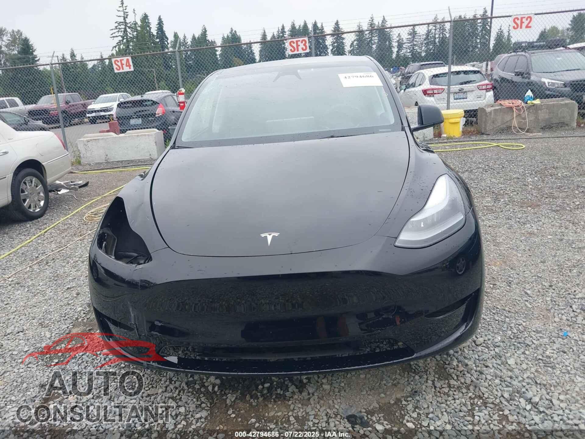 TESLA MODEL Y 2024 - 7SAYGDED1RF159399