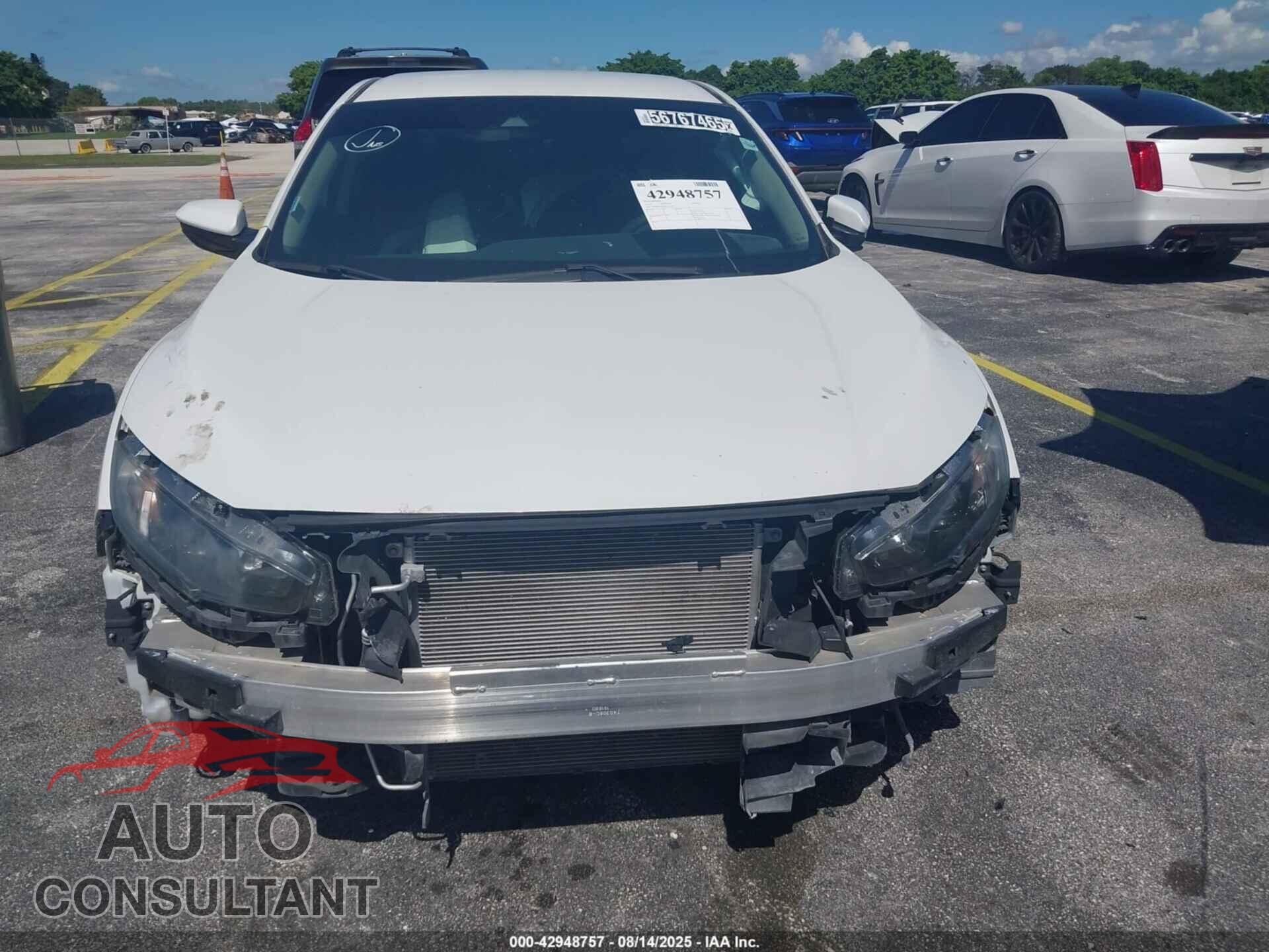 HONDA CIVIC 2019 - 2HGFC2F6XKH575246