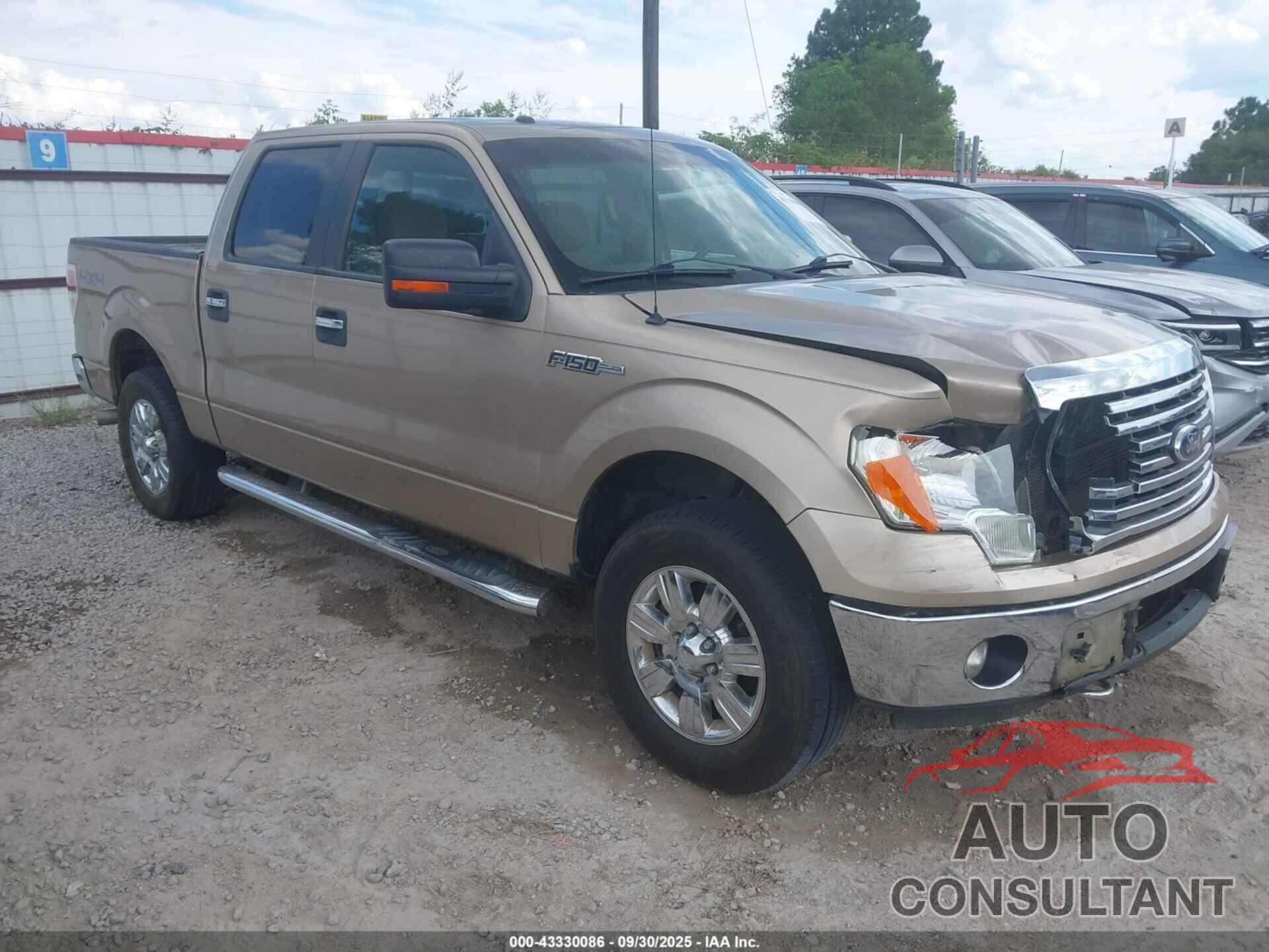 FORD F150 2011 - 1FTFW1EFXBFC75449