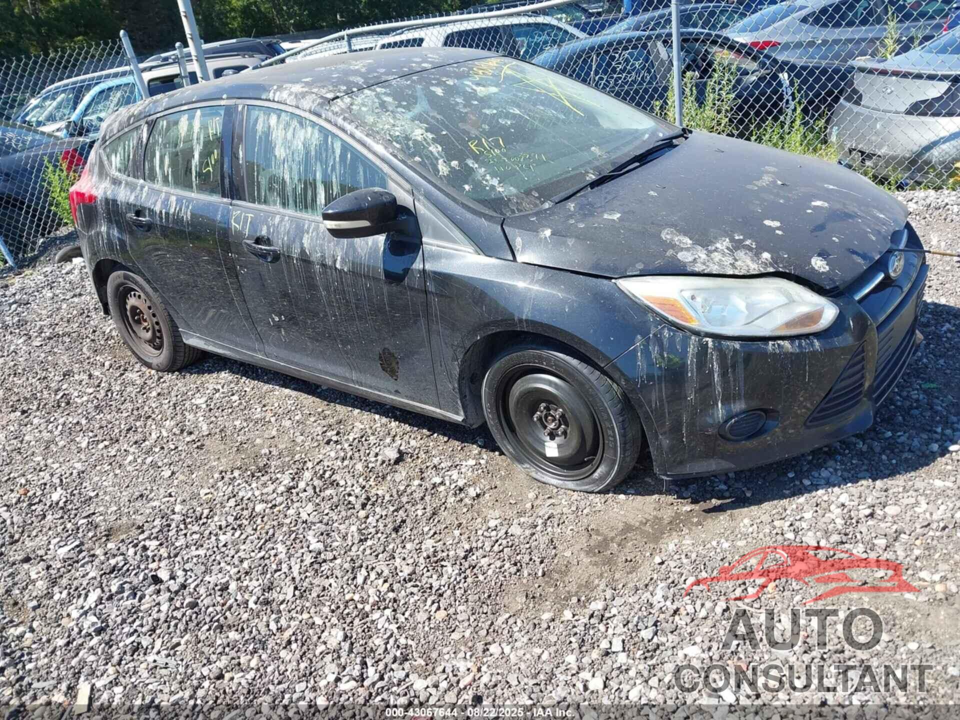 FORD FOCUS 2013 - 1FADP3K26DL376628