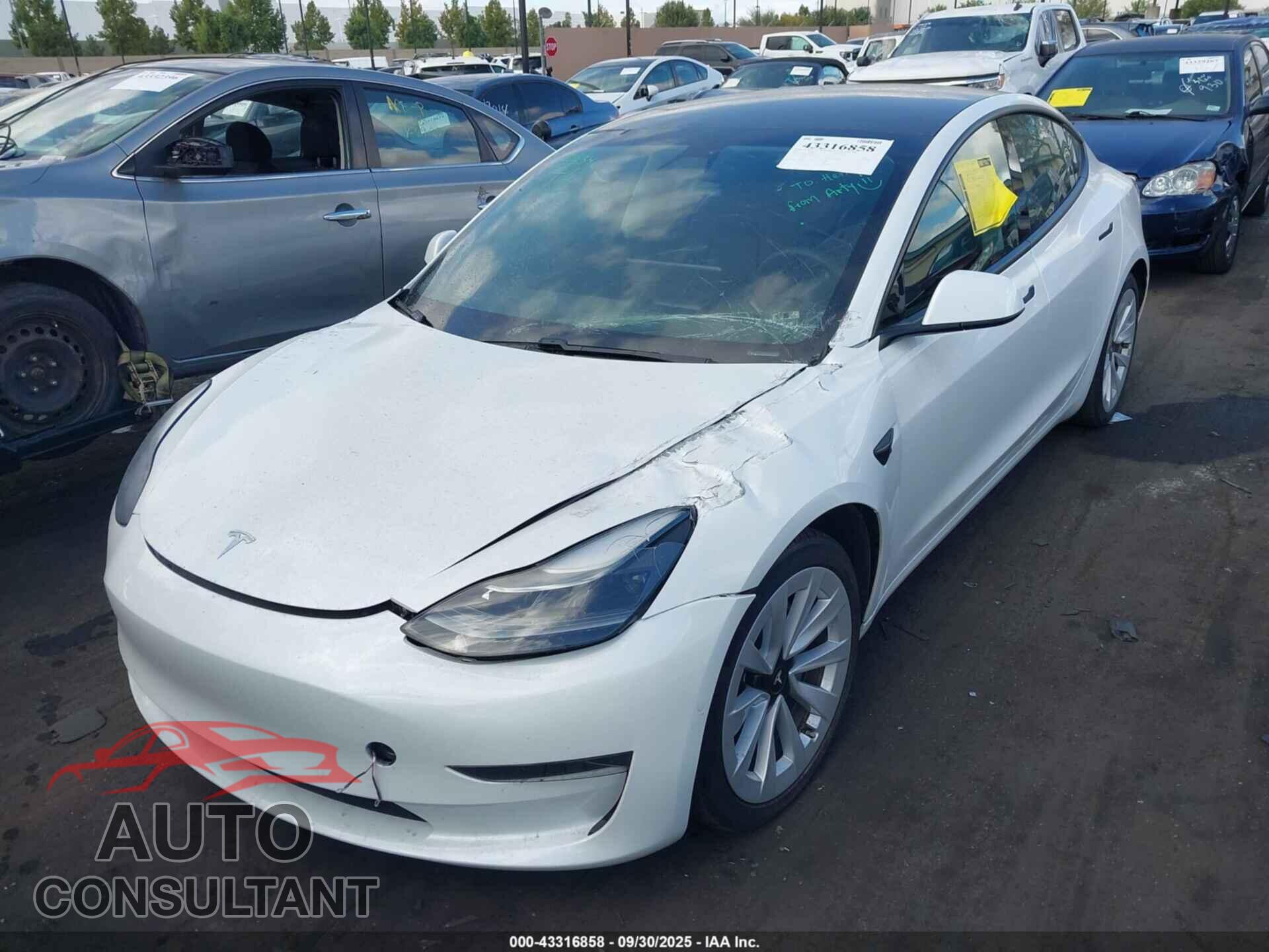 TESLA MODEL 3 2021 - 5YJ3E1EA2MF018190