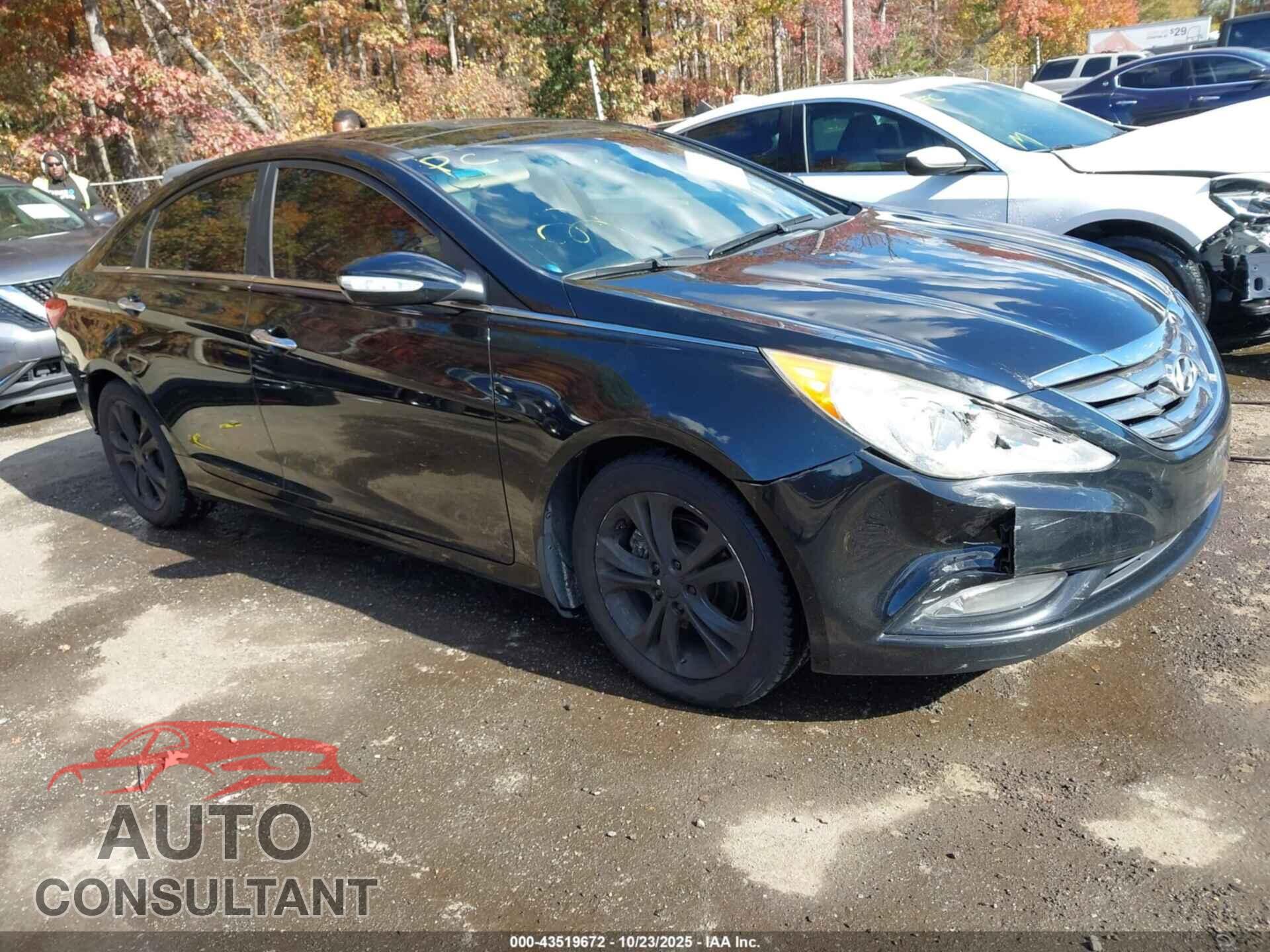 HYUNDAI SONATA 2013 - 5NPEC4AC2DH577179