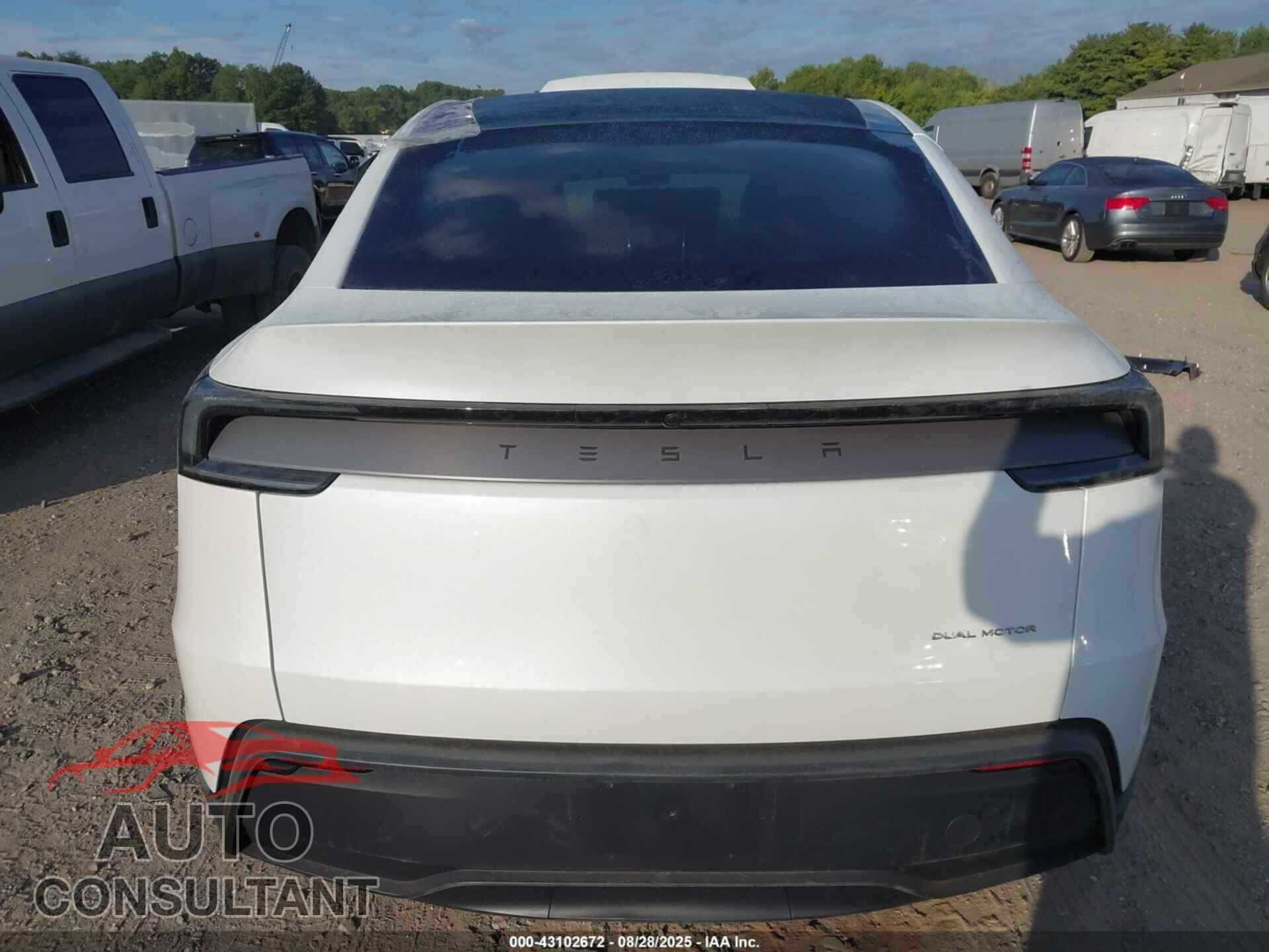 TESLA MODEL Y 2026 - 7SAYGDEEXTF357639