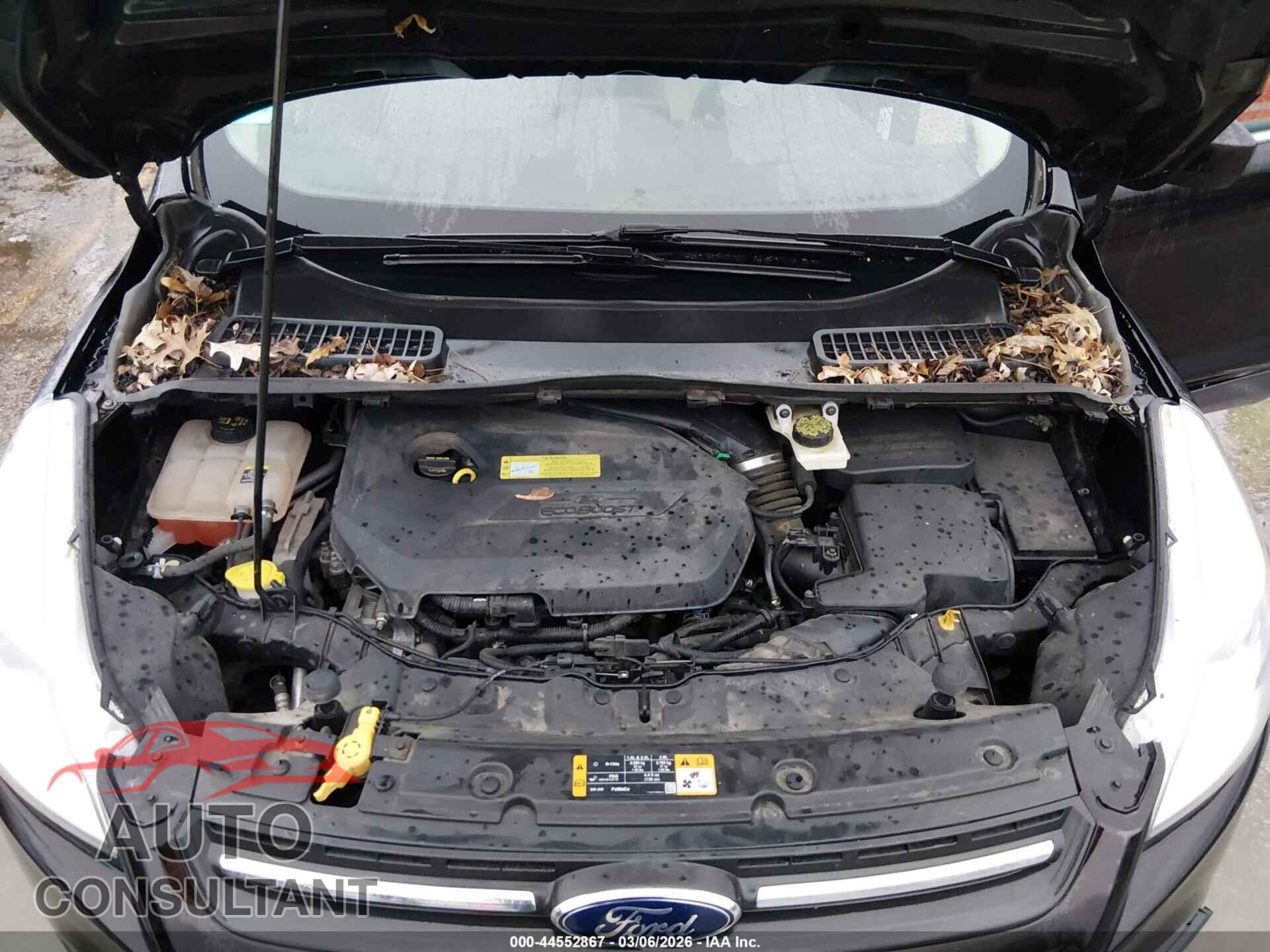 FORD ESCAPE 2013 - 1FMCU9GX8DUB40039