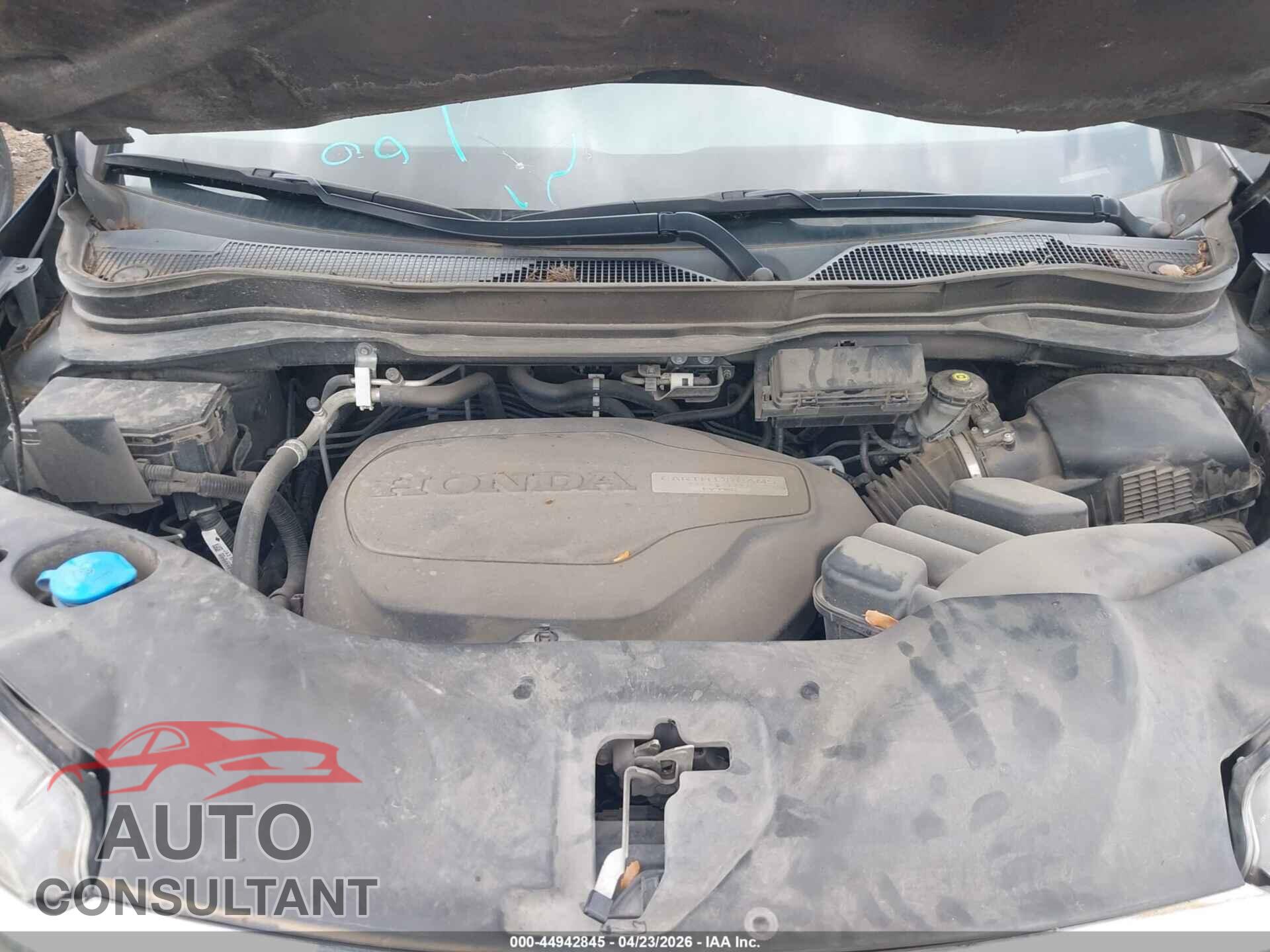 HONDA RIDGELINE 2019 - 5FPYK2F66KB005588