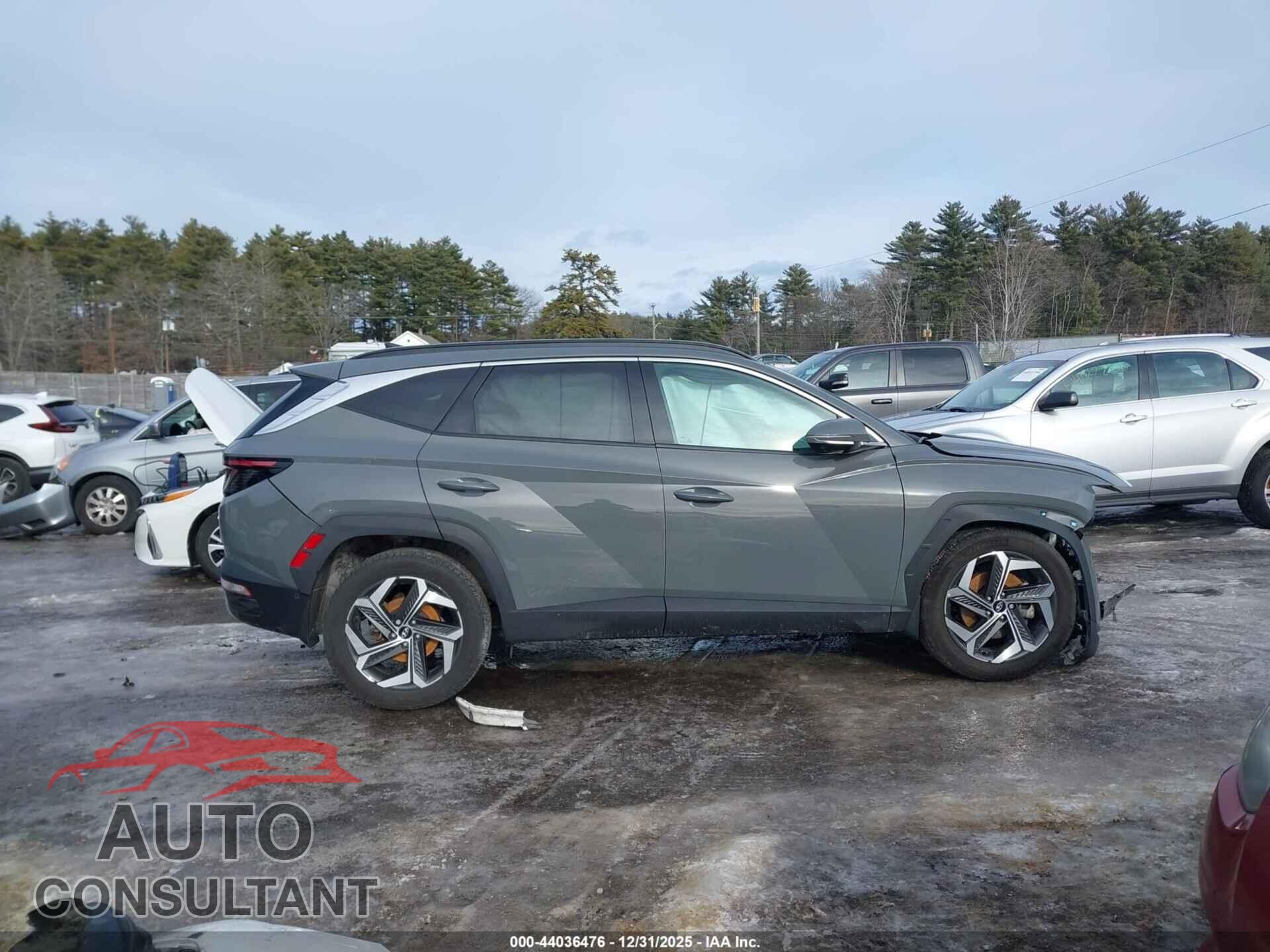HYUNDAI TUCSON 2024 - 5NMJECDE8RH395491