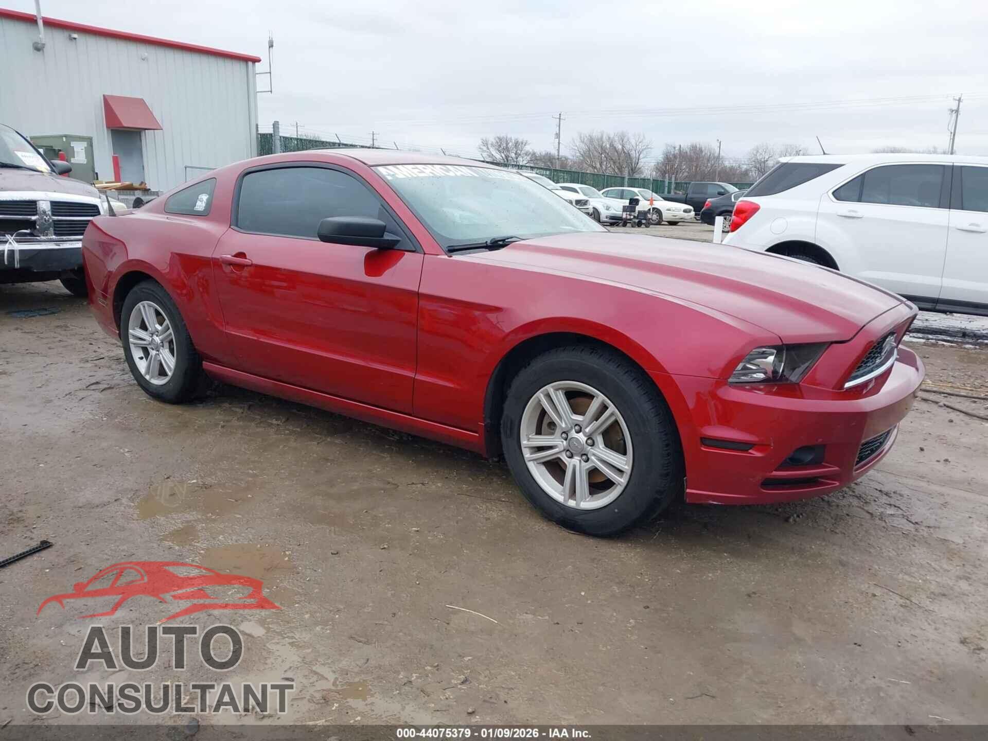 FORD MUSTANG 2014 - 1ZVBP8AM4E5280081