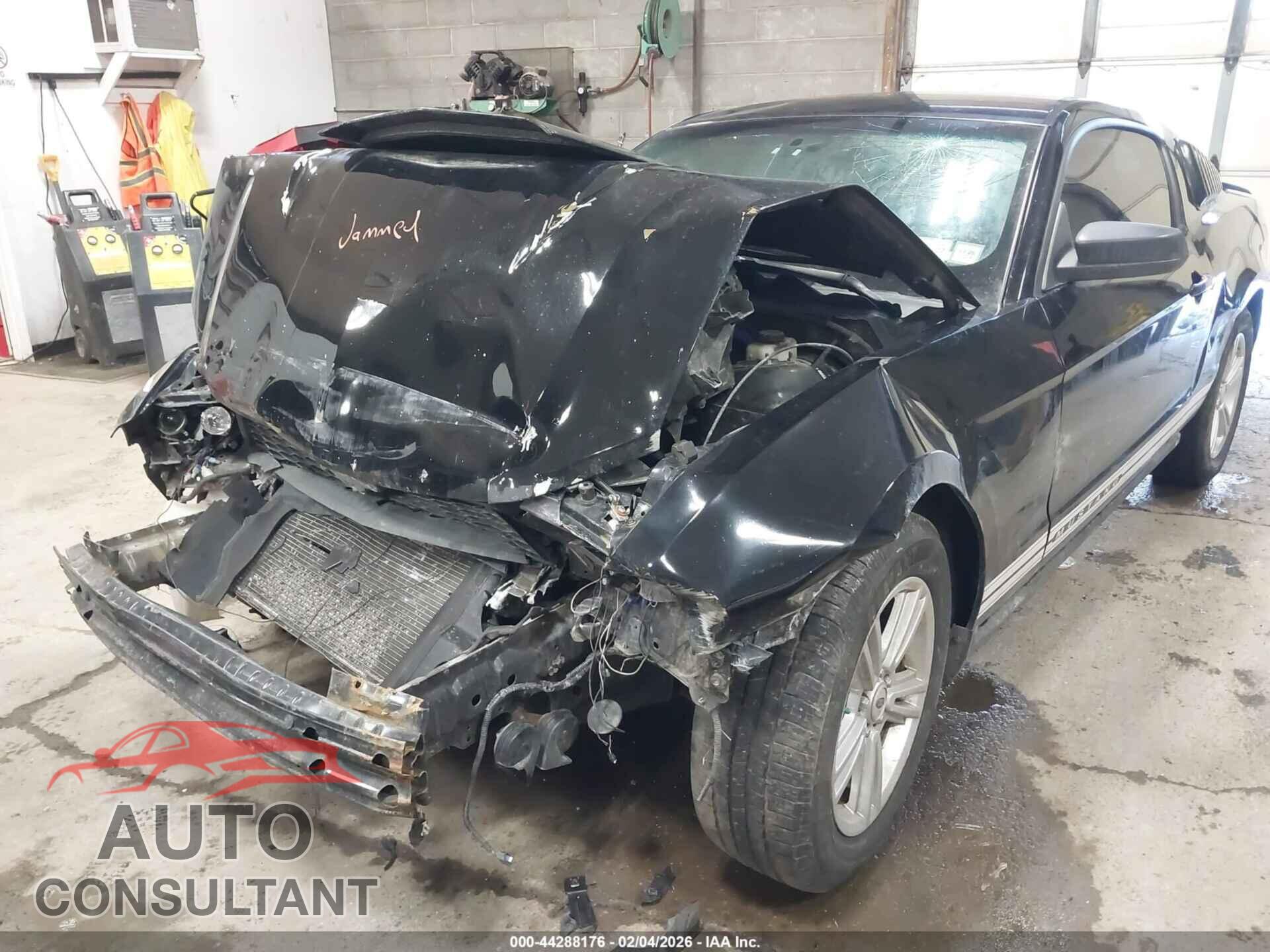 FORD MUSTANG 2011 - 1ZVBP8AMXB5118788