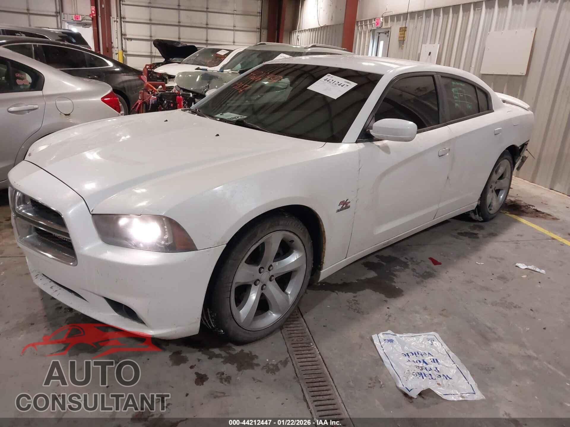 DODGE CHARGER 2013 - 2C3CDXCT4DH583856
