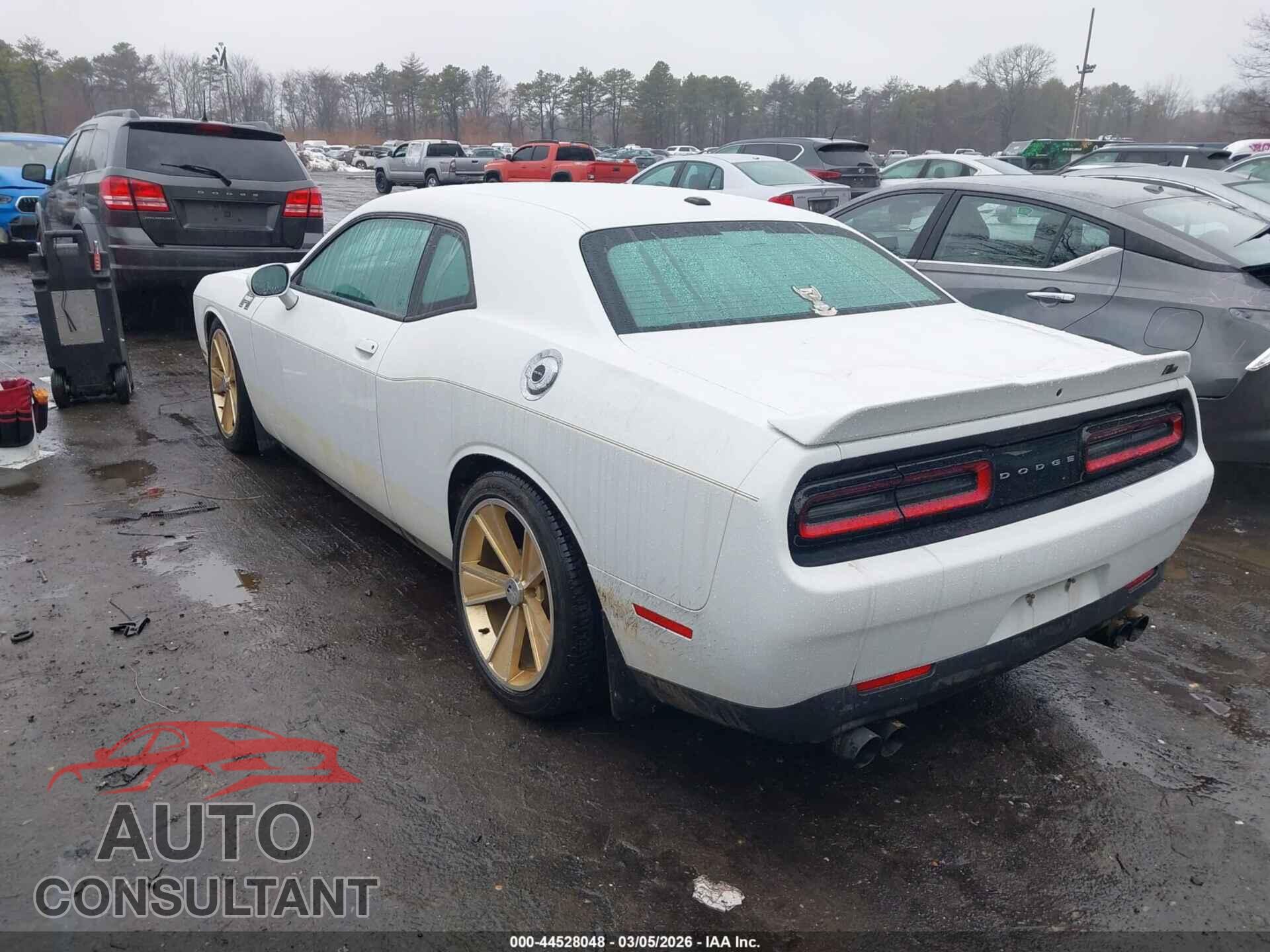 DODGE CHALLENGER 2017 - 2C3CDZBT6HH611319
