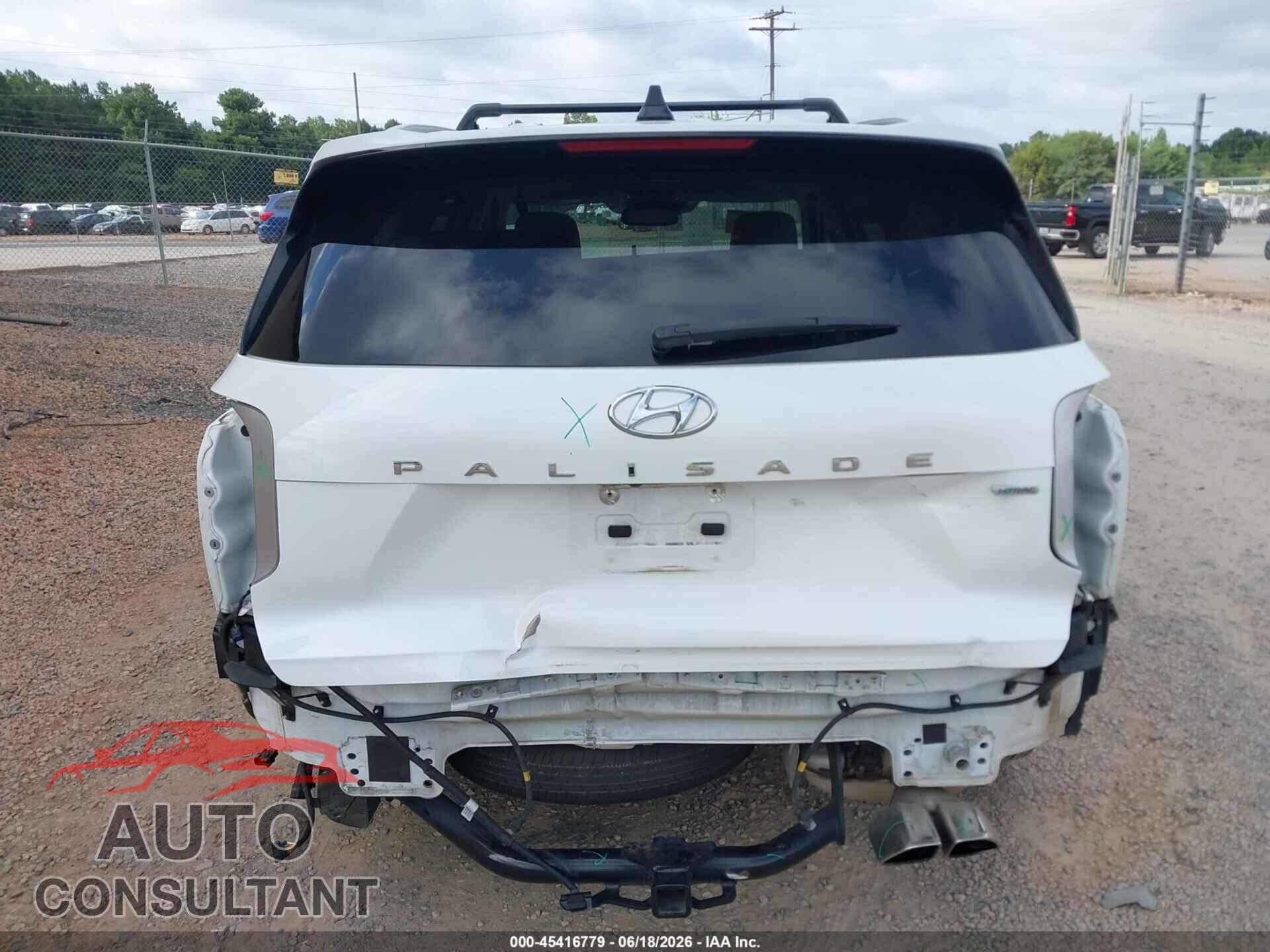 HYUNDAI PALISADE 2020 - KM8R5DHE4LU153473