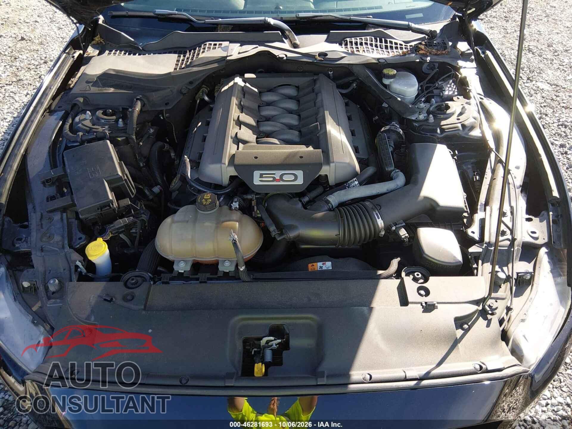 FORD MUSTANG 2016 - 1FA6P8CF8G5284484