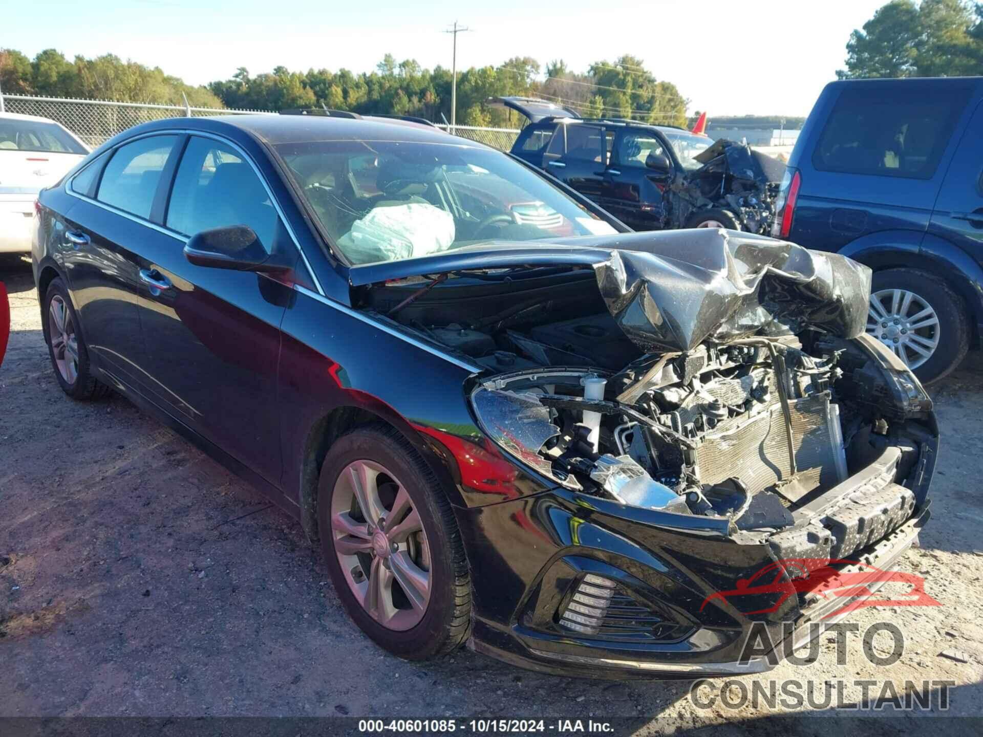 HYUNDAI SONATA 2019 - 5NPE34AF1KH809780