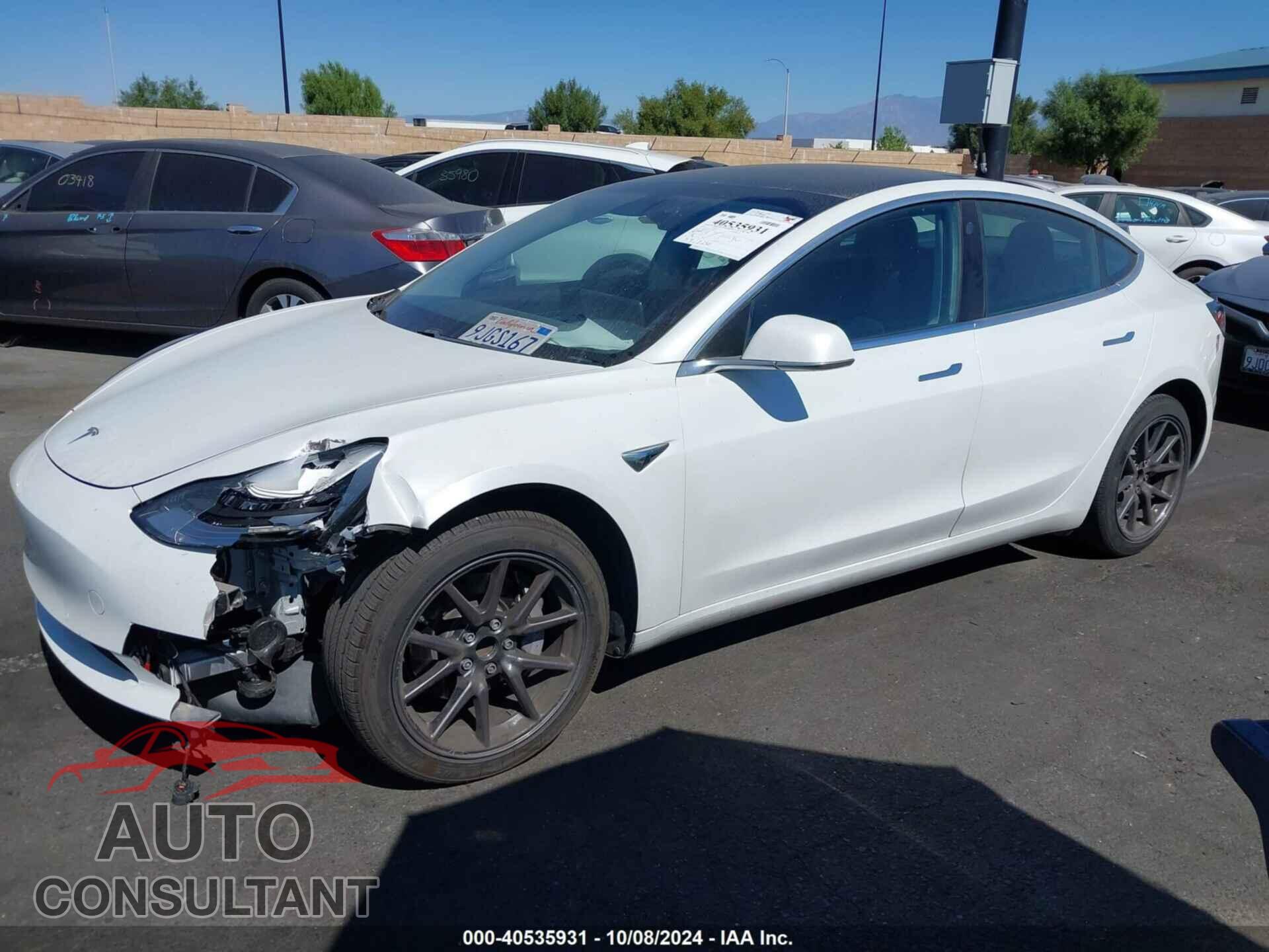 TESLA MODEL 3 2020 - 5YJ3E1EA7LF613535