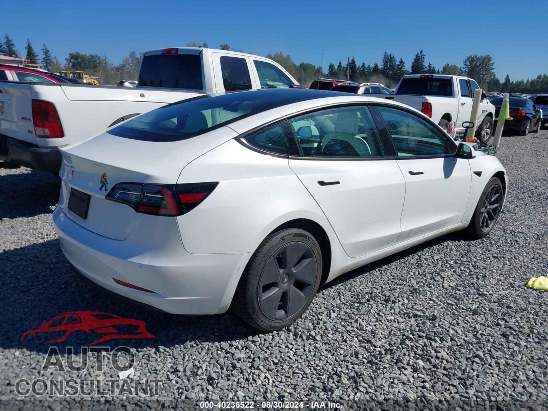 TESLA MODEL 3 2021 - 5YJ3E1EA3MF084506