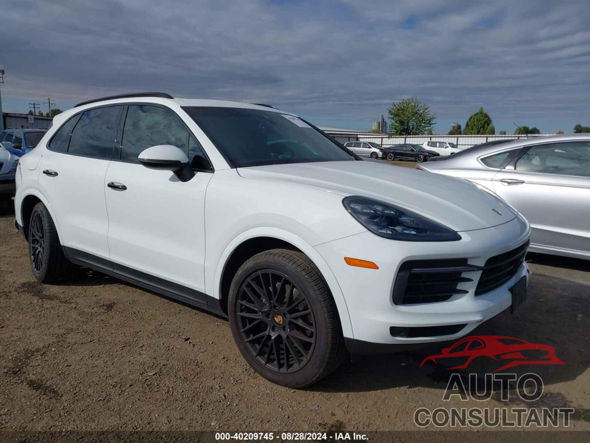 PORSCHE CAYENNE 2020 - WP1AA2AY0LDA06958