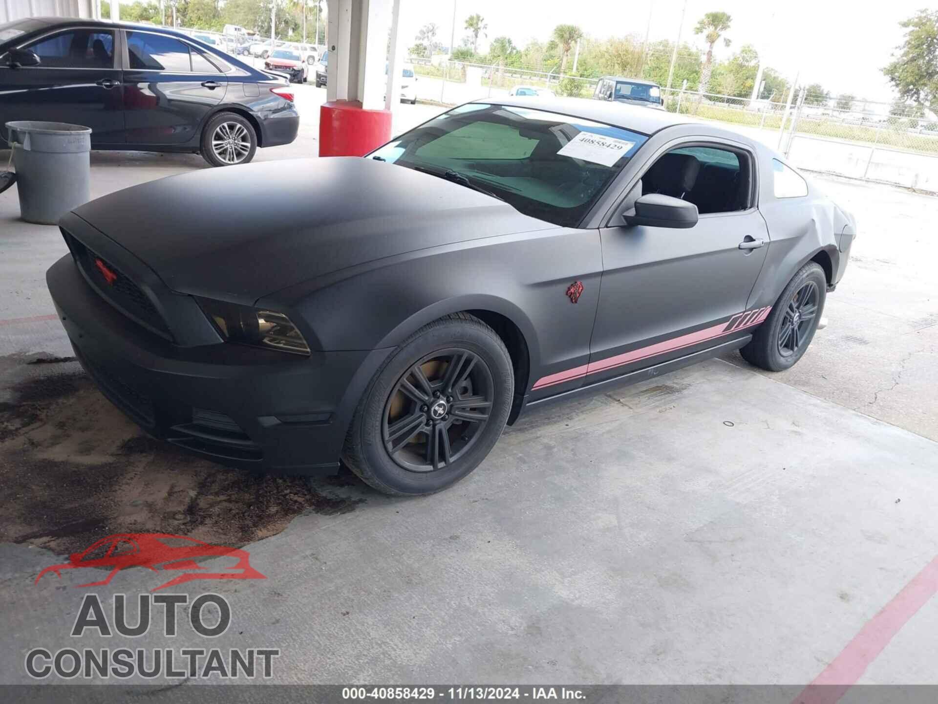 FORD MUSTANG 2014 - 1ZVBP8AM4E5252863
