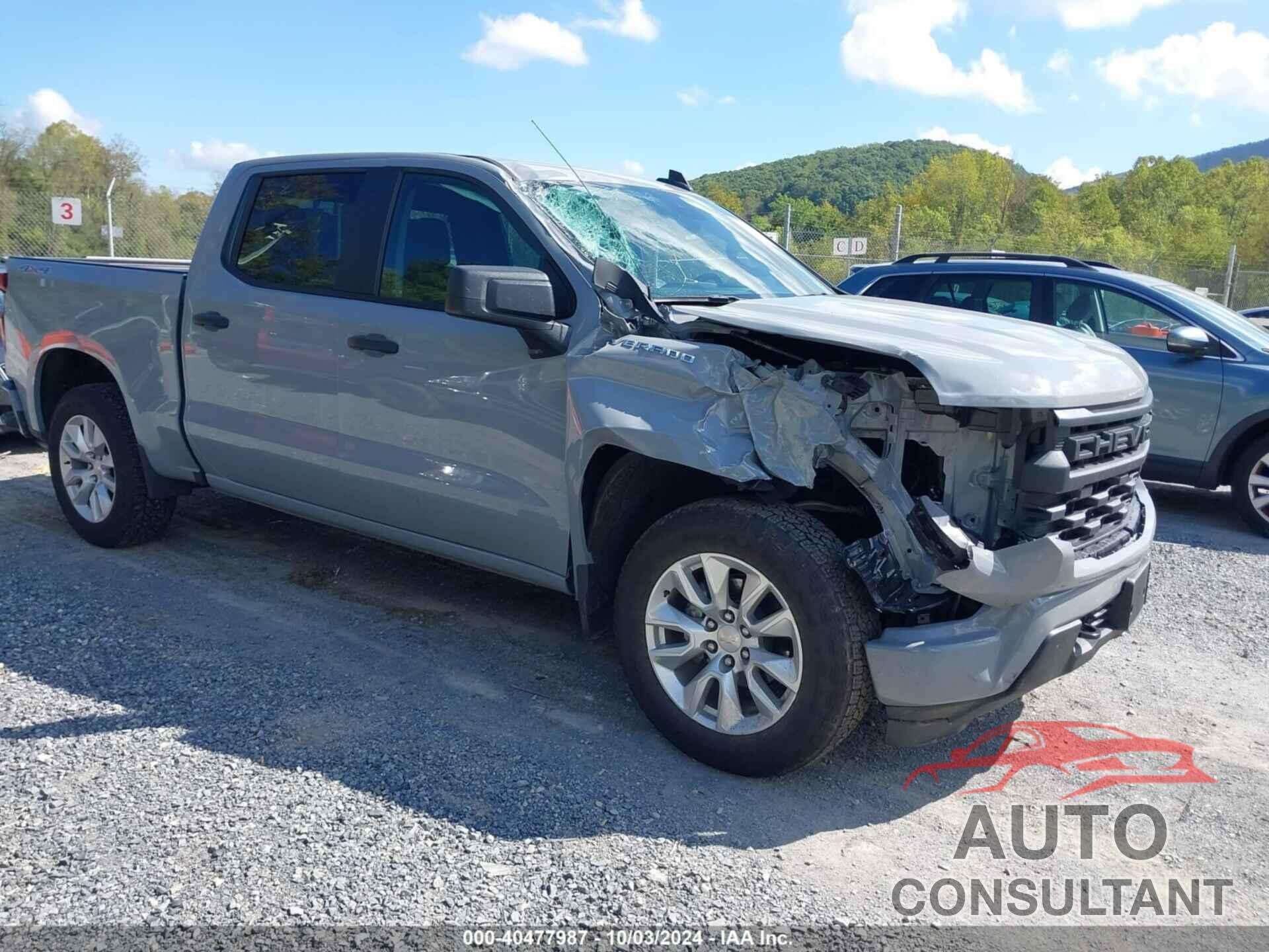 CHEVROLET SILVERADO 1500 2024 - 1GCPDBEK5RZ217240