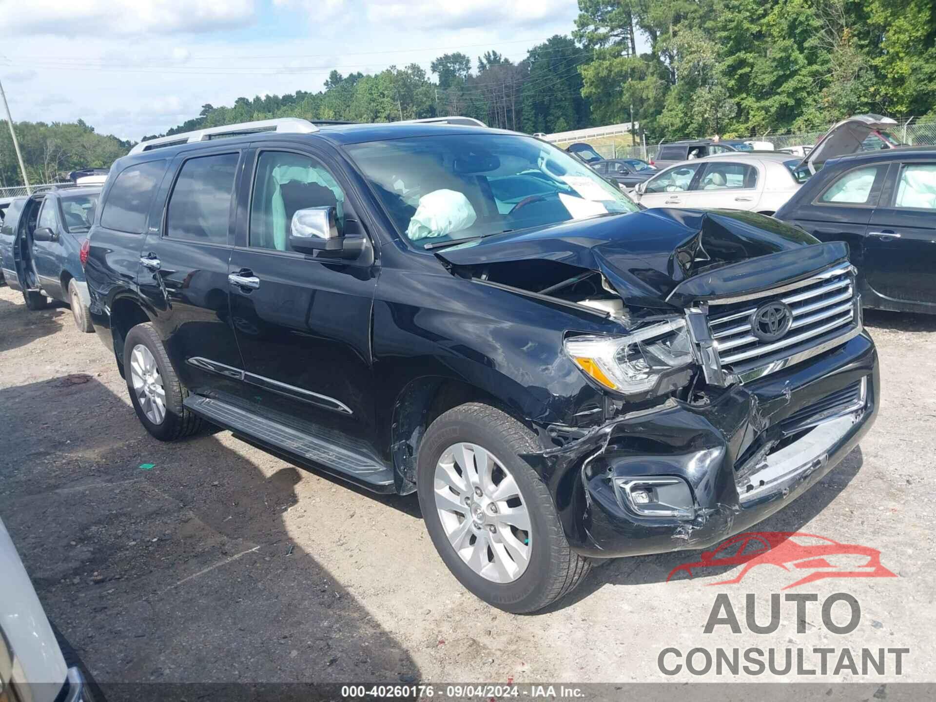 TOYOTA SEQUOIA 2019 - 5TDDY5G17KS167915