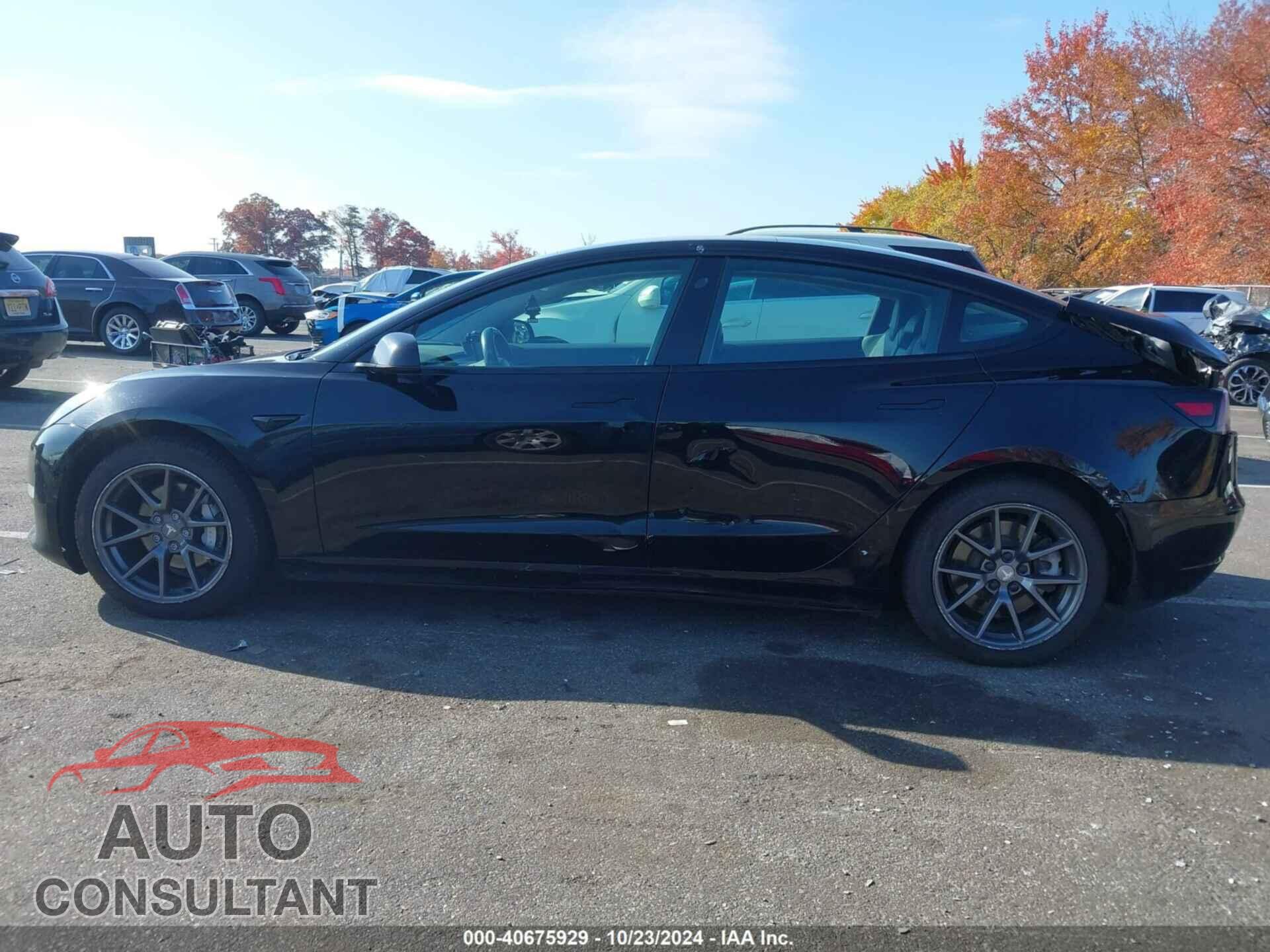 TESLA MODEL 3 2021 - 5YJ3E1EA2MF911640