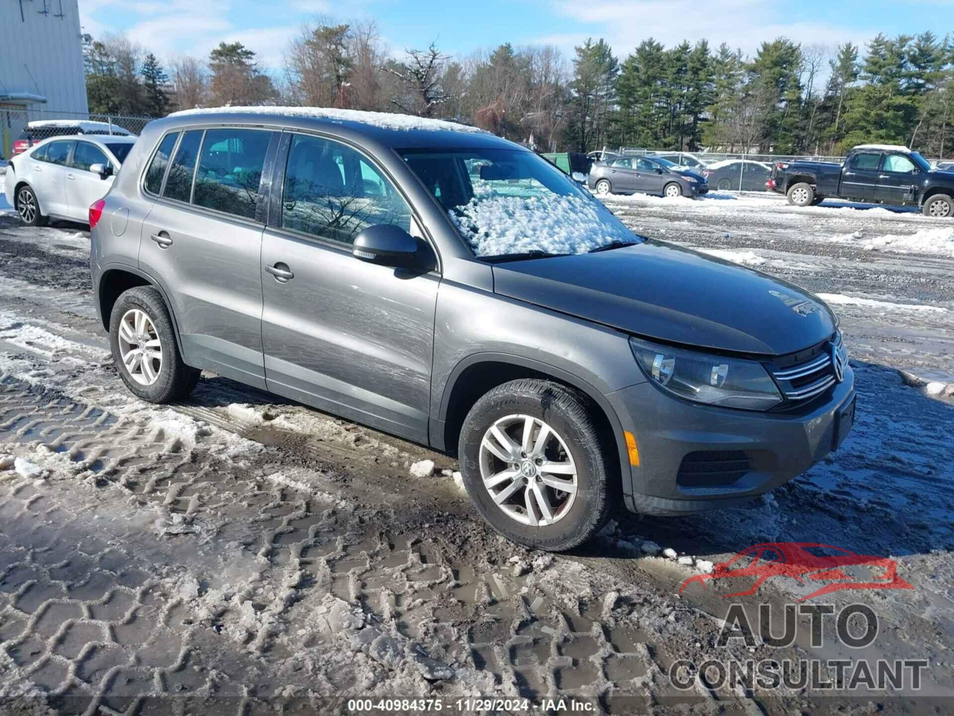 VOLKSWAGEN TIGUAN 2013 - WVGBV7AX4DW534700