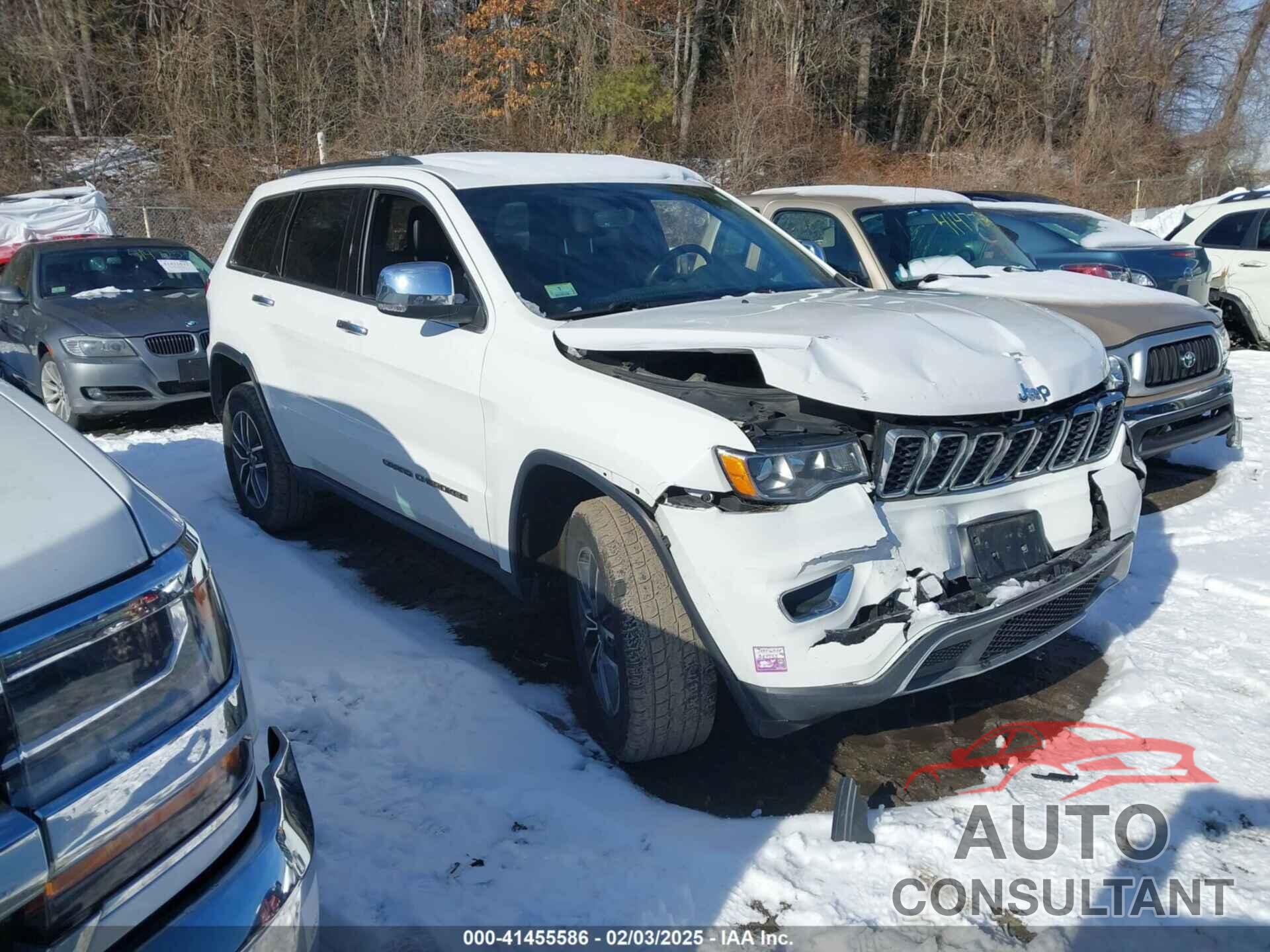 JEEP GRAND CHEROKEE 2019 - 1C4RJFBG9KC810343