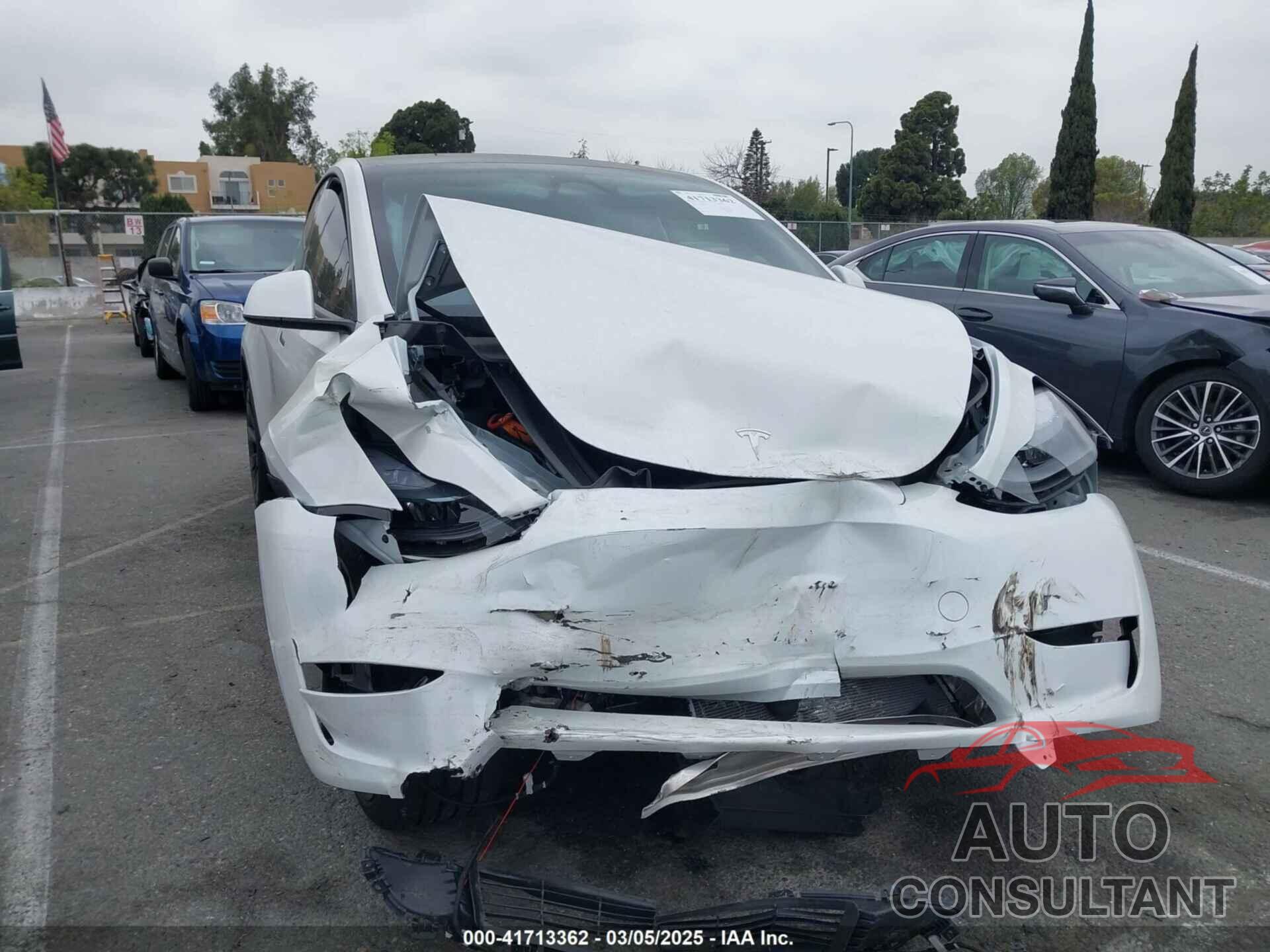 TESLA MODEL Y 2024 - 7SAYGDED6RF166543