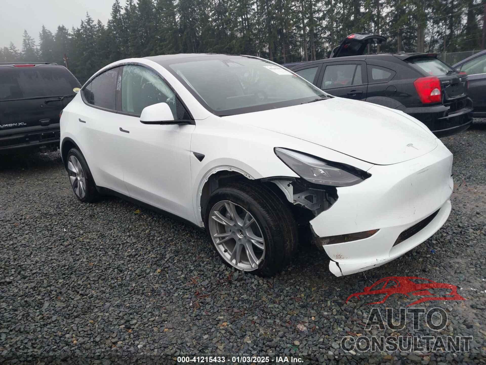 TESLA MODEL Y 2024 - 7SAYGDEEXRF078877