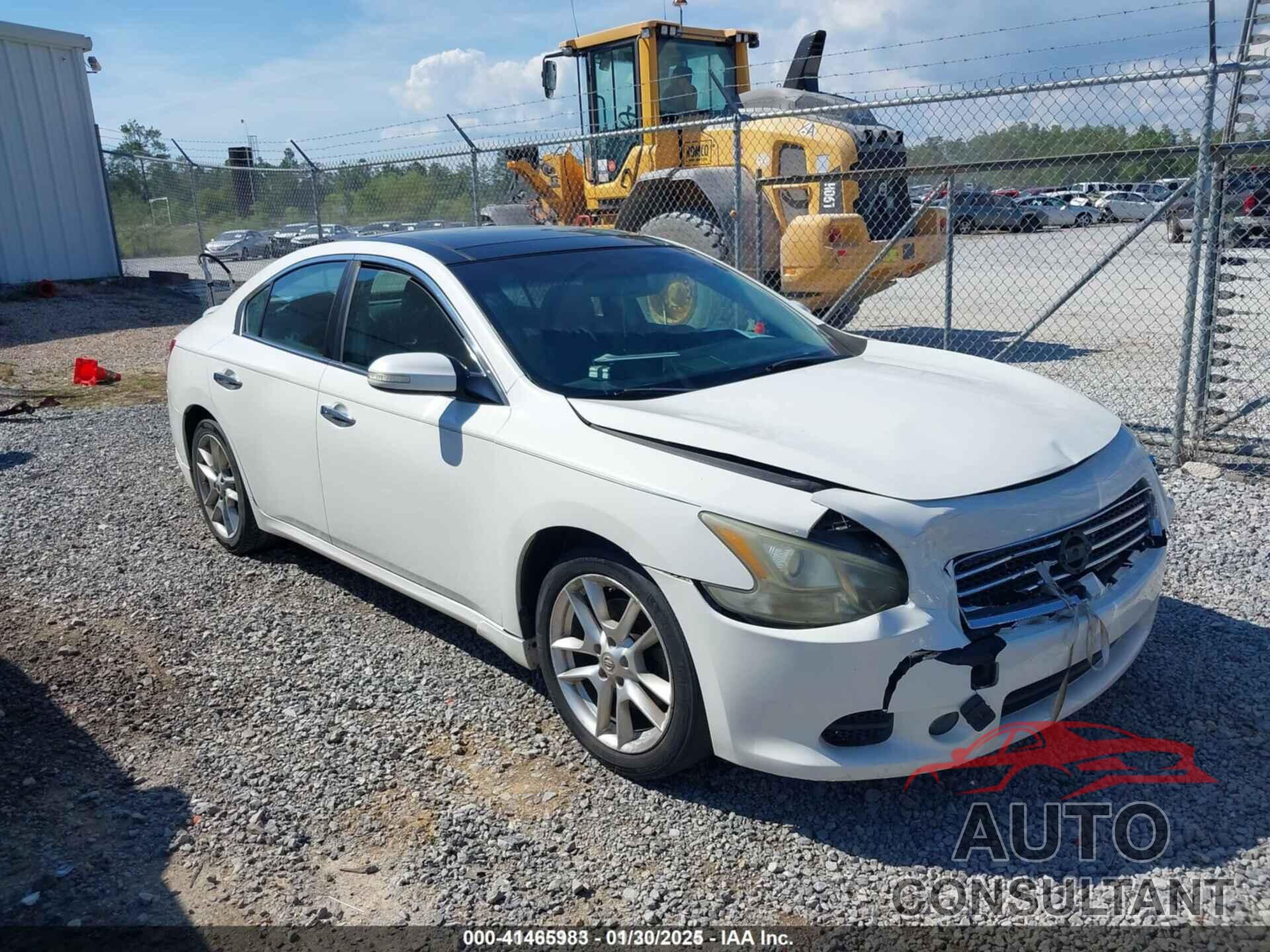 NISSAN MAXIMA 2011 - 1N4AA5AP8BC862951