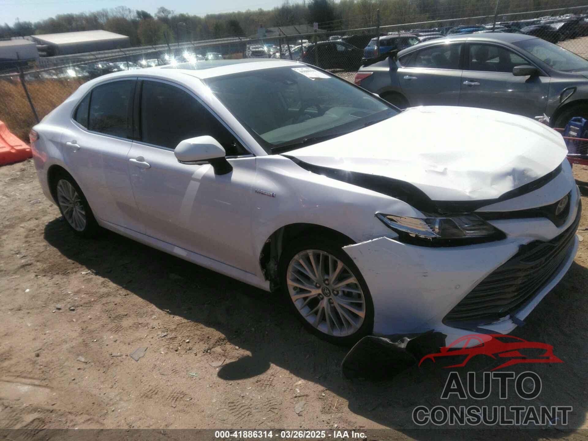 TOYOTA CAMRY HYBRID 2019 - 4T1B21HK9KU520736