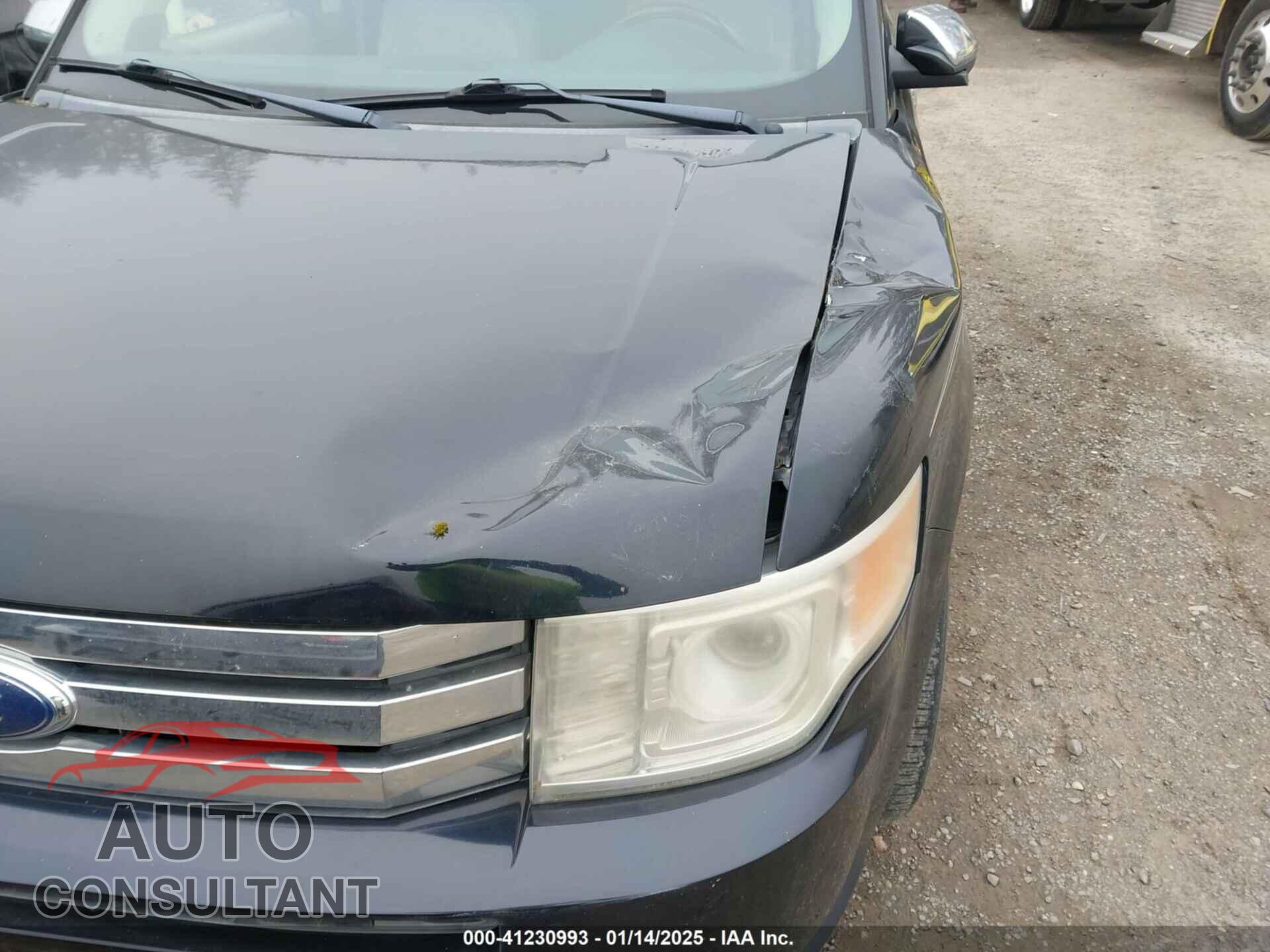FORD FLEX 2009 - 2FMDK53C69BB02487