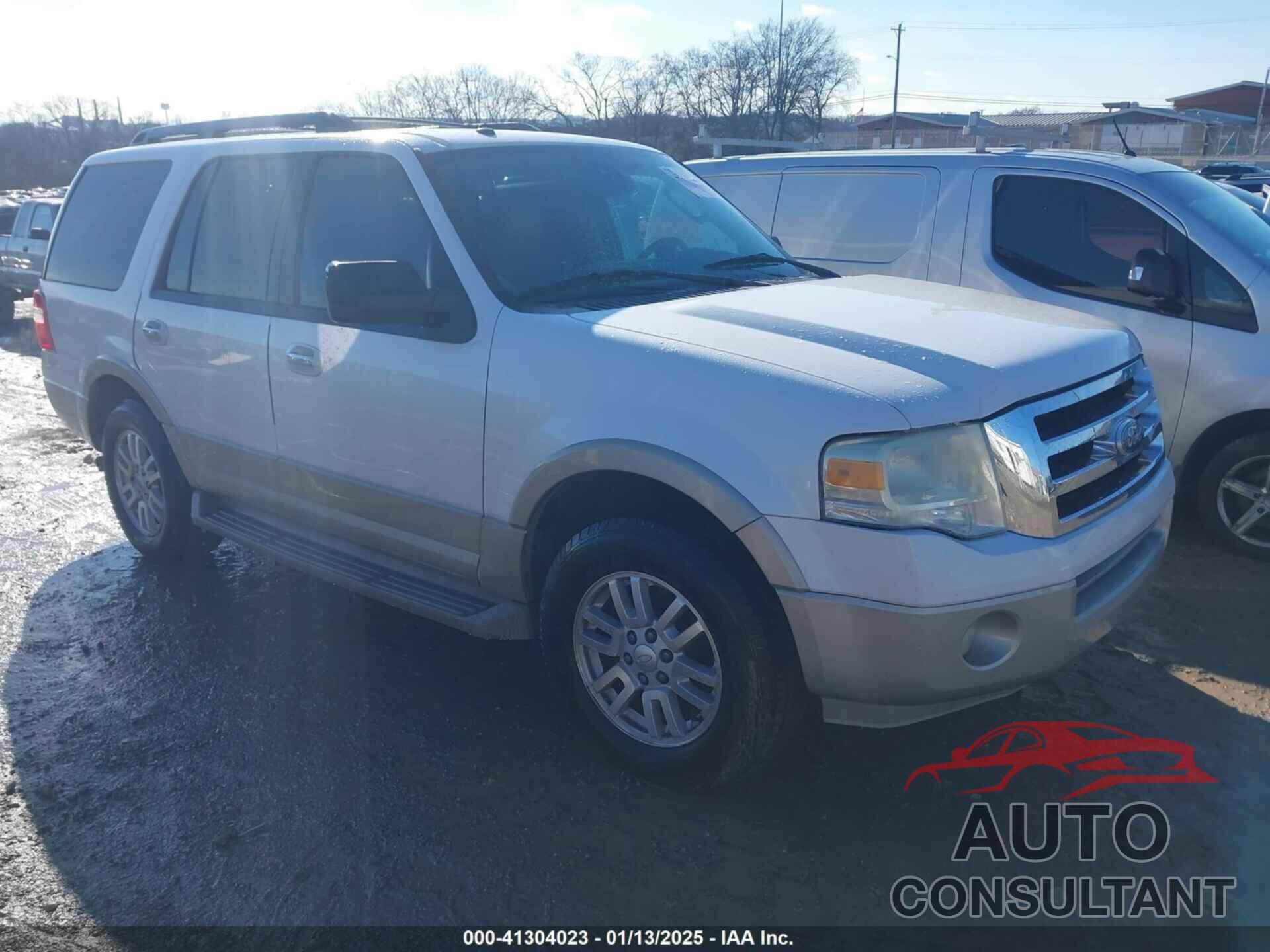 FORD EXPEDITION 2010 - 1FMJU1H53AEA52995