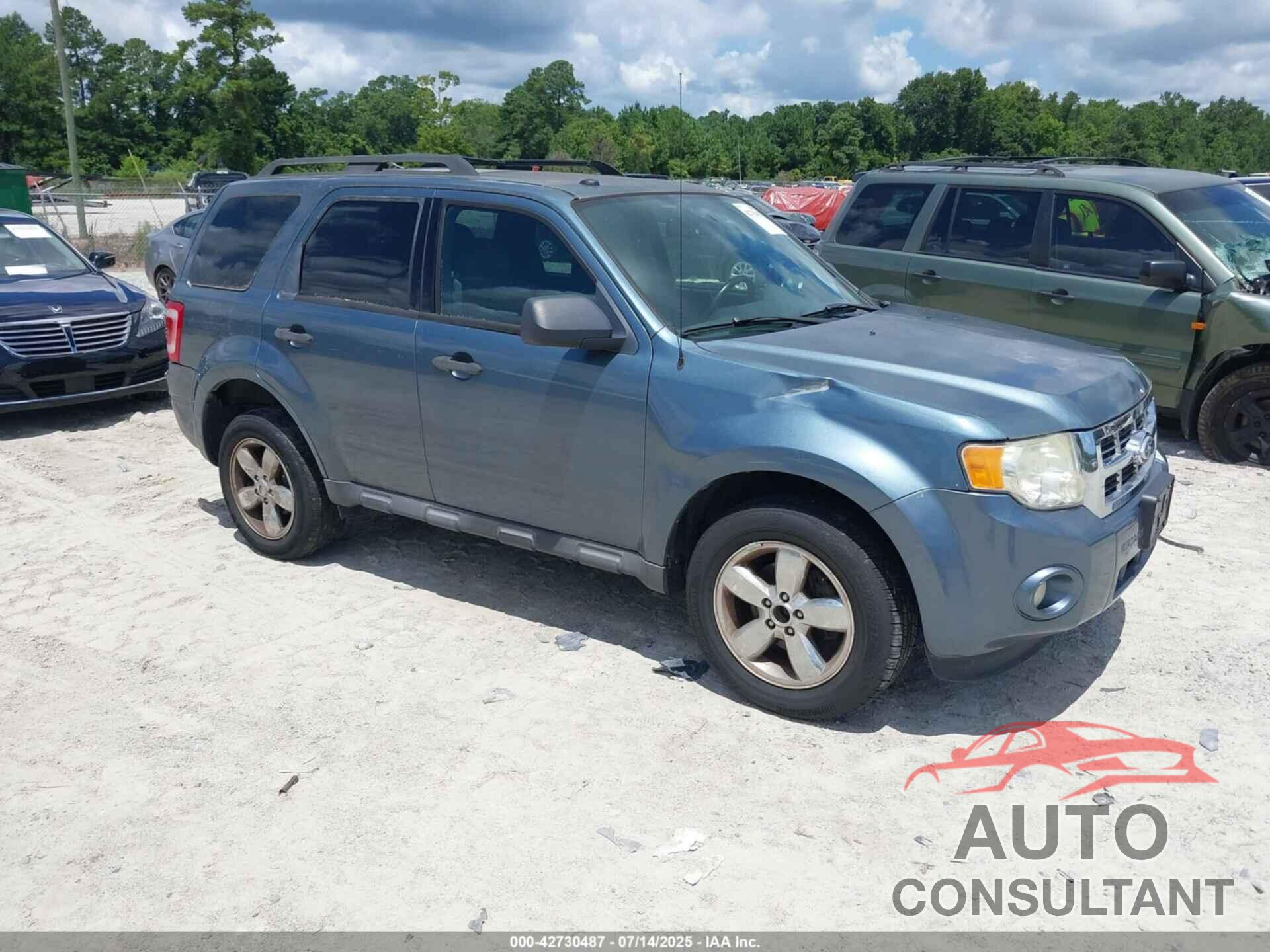 FORD ESCAPE 2010 - 1FMCU0D75AKC62199