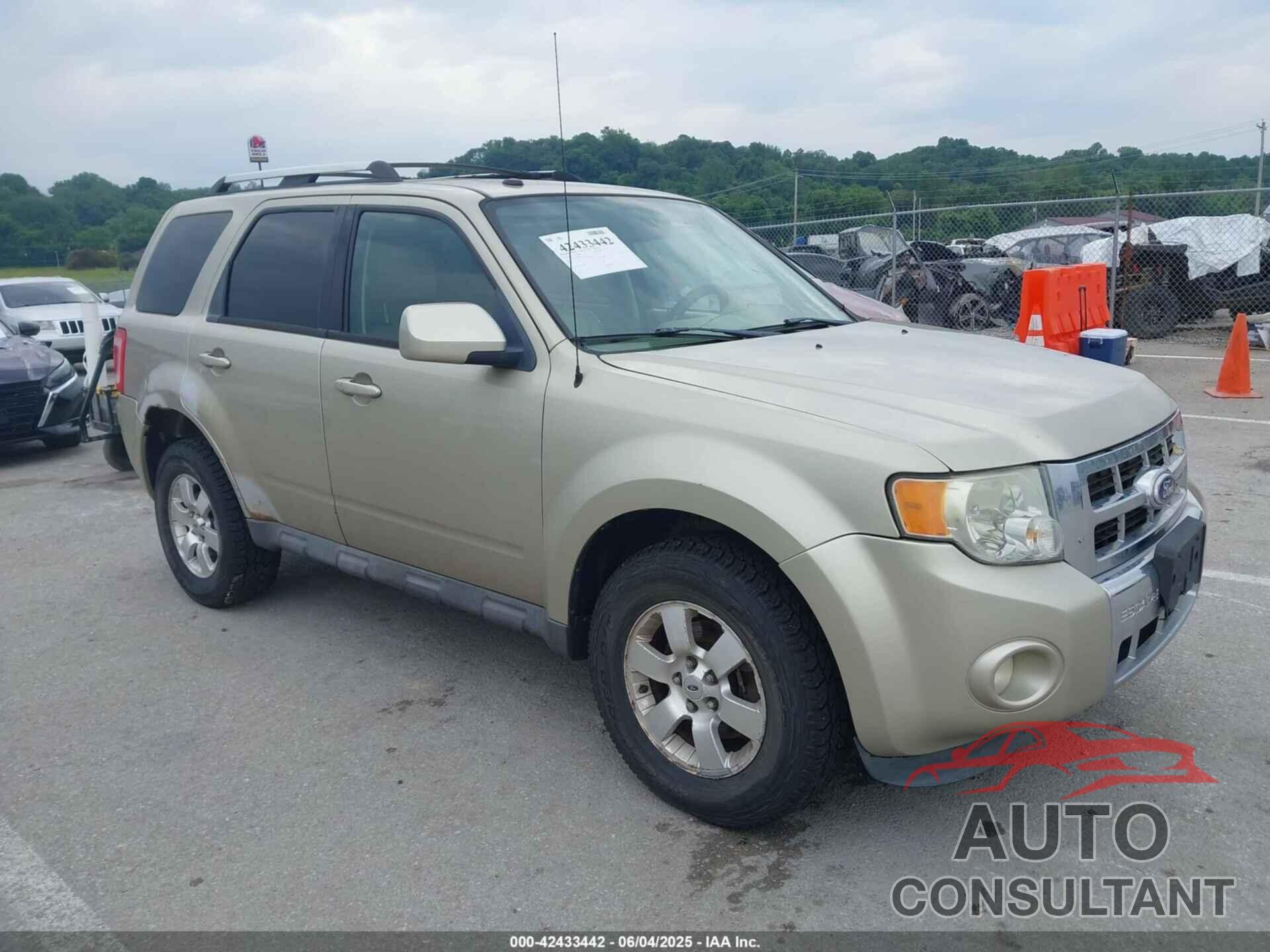 FORD ESCAPE 2010 - 1FMCU9EG1AKC91265
