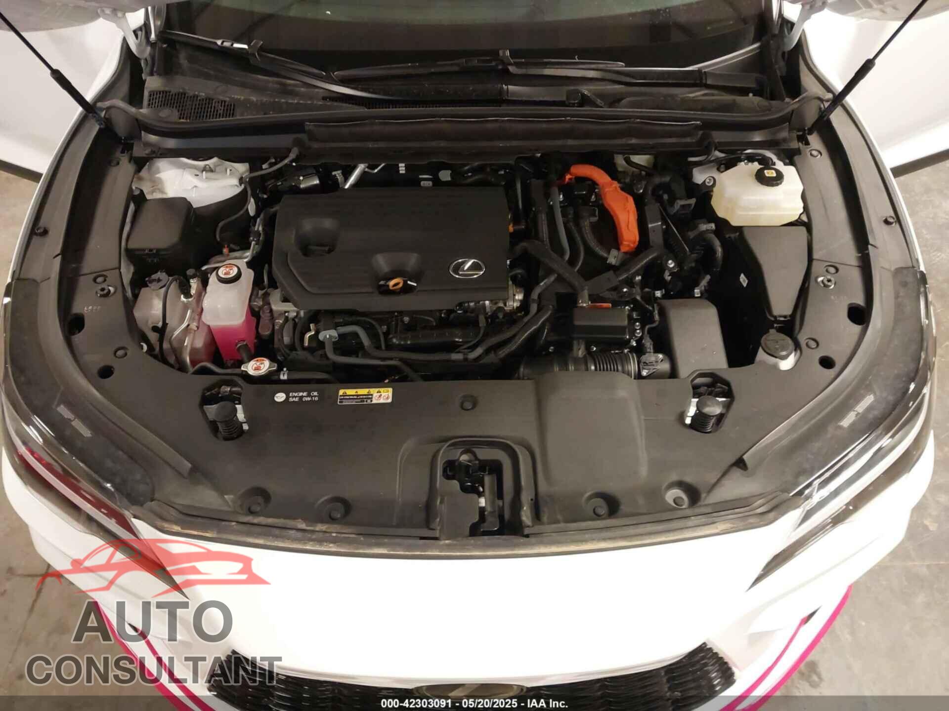 LEXUS RX 2025 - 2T2BBMCA3SC066044