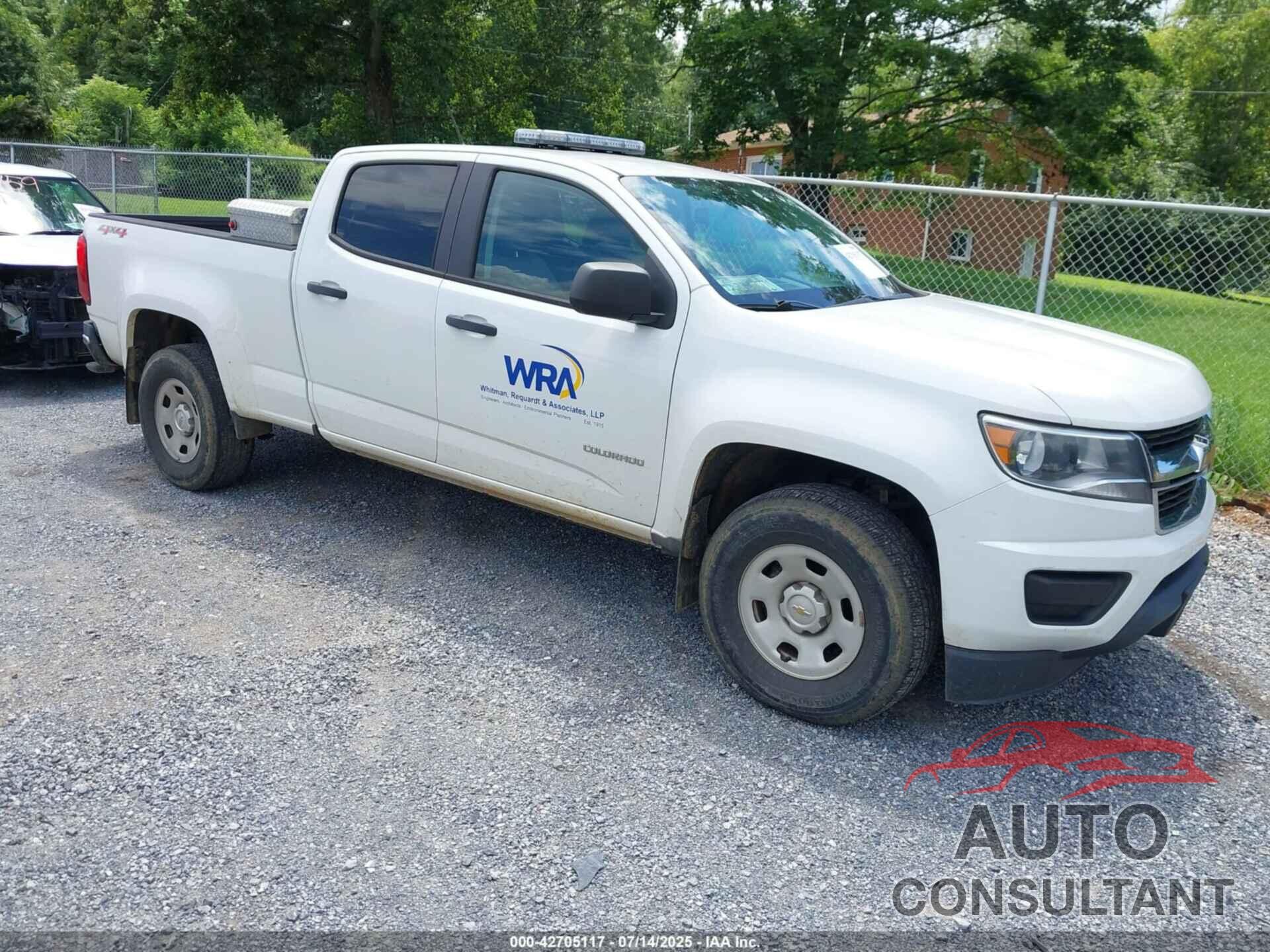 CHEVROLET COLORADO 2019 - 1GCGTBEN4K1177184