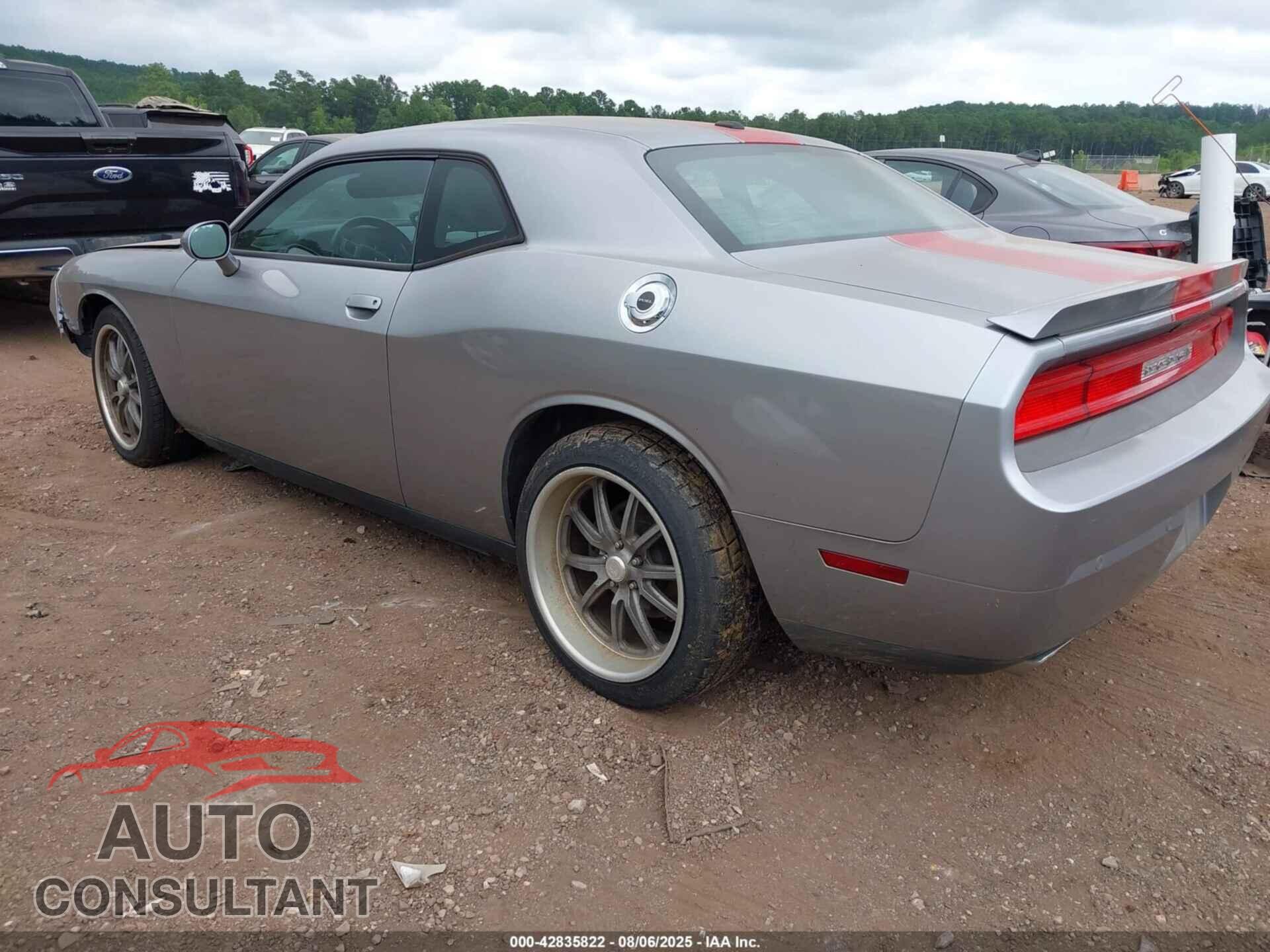 DODGE CHALLENGER 2013 - 2C3CDYAG6DH653496
