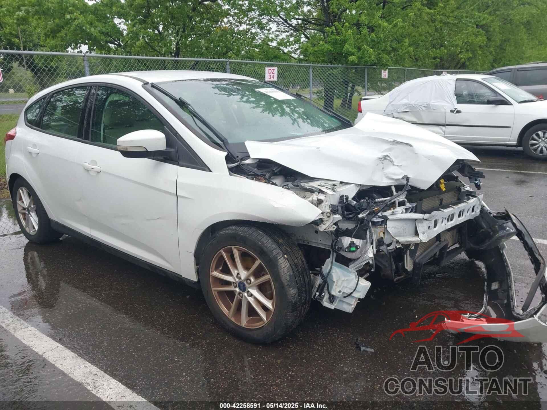 FORD FOCUS 2016 - 1FADP3K29GL354594