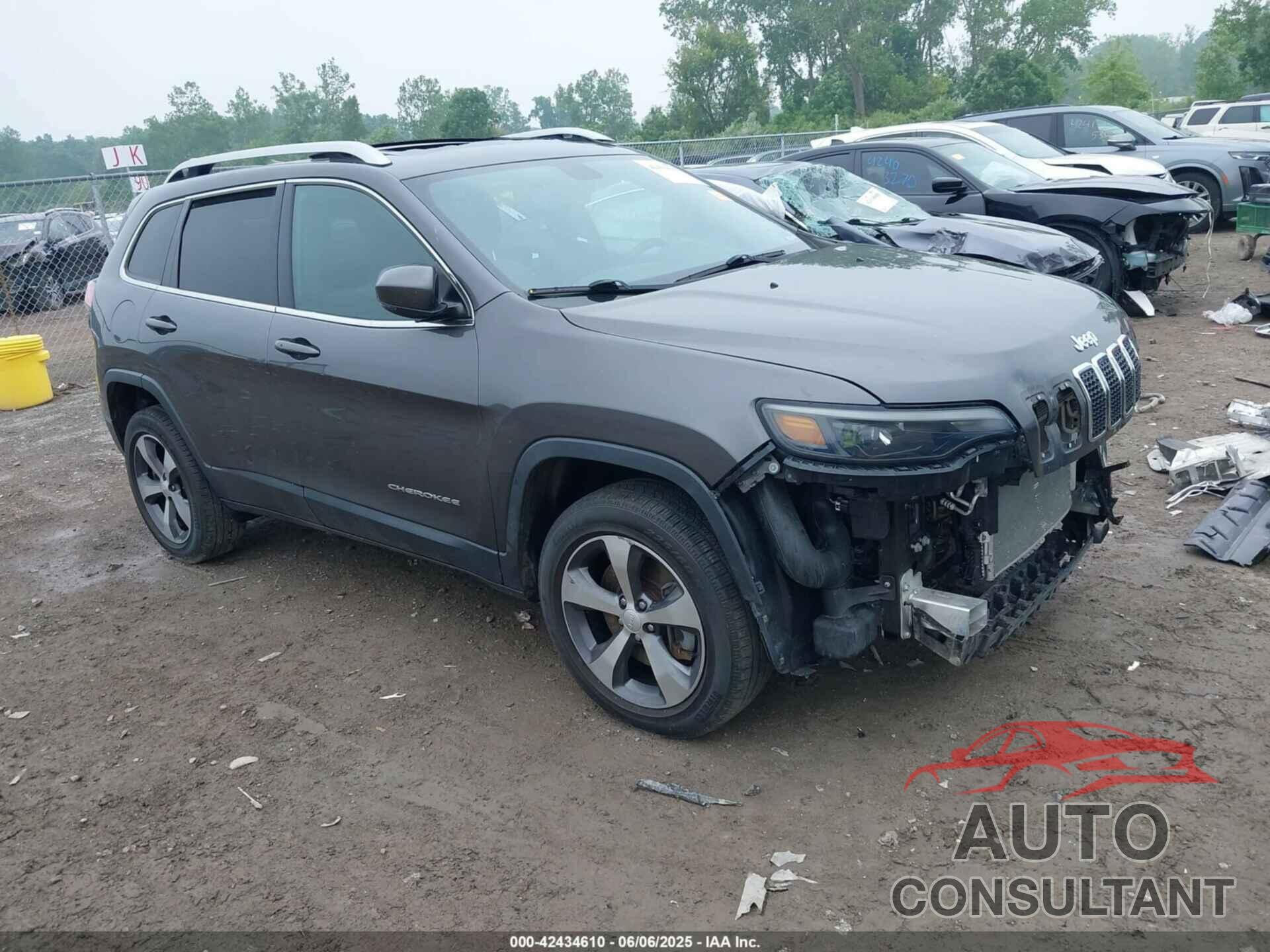 JEEP CHEROKEE 2019 - 1C4PJMDX7KD431067