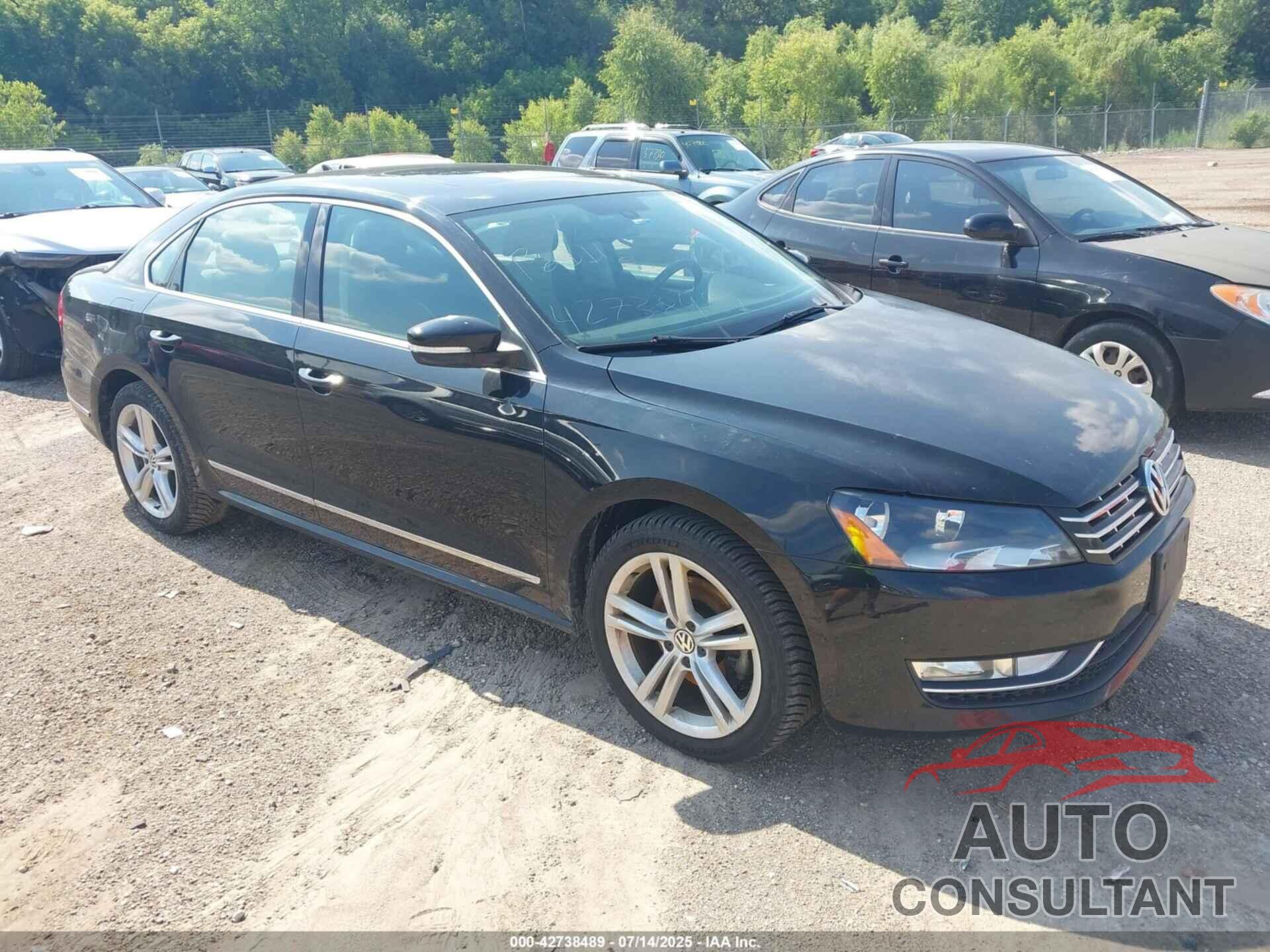 VOLKSWAGEN PASSAT 2013 - 1VWCN7A39DC029420