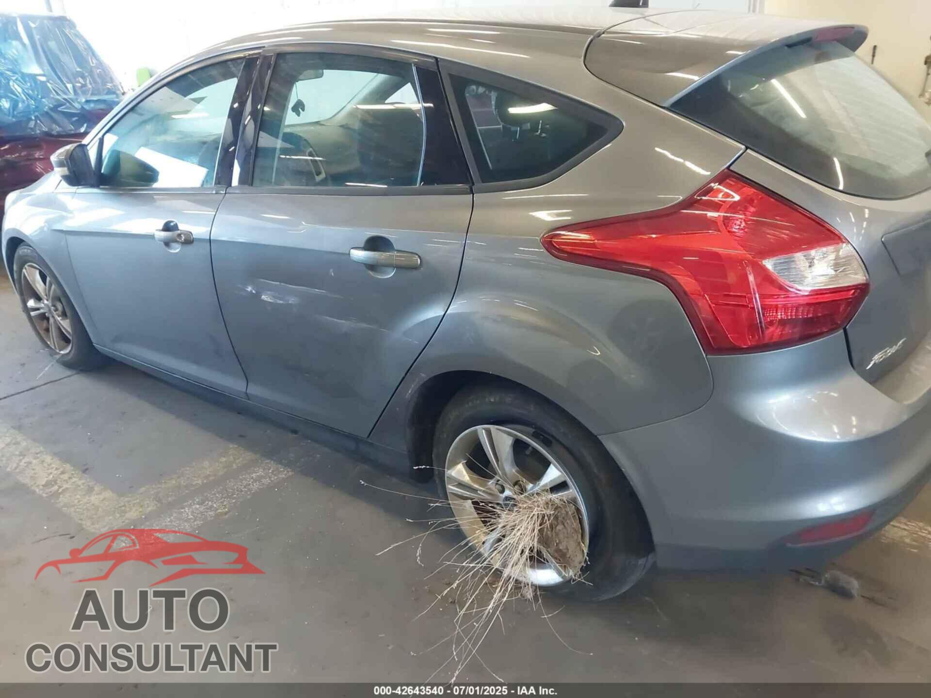 FORD FOCUS 2014 - 1FADP3K26EL162658