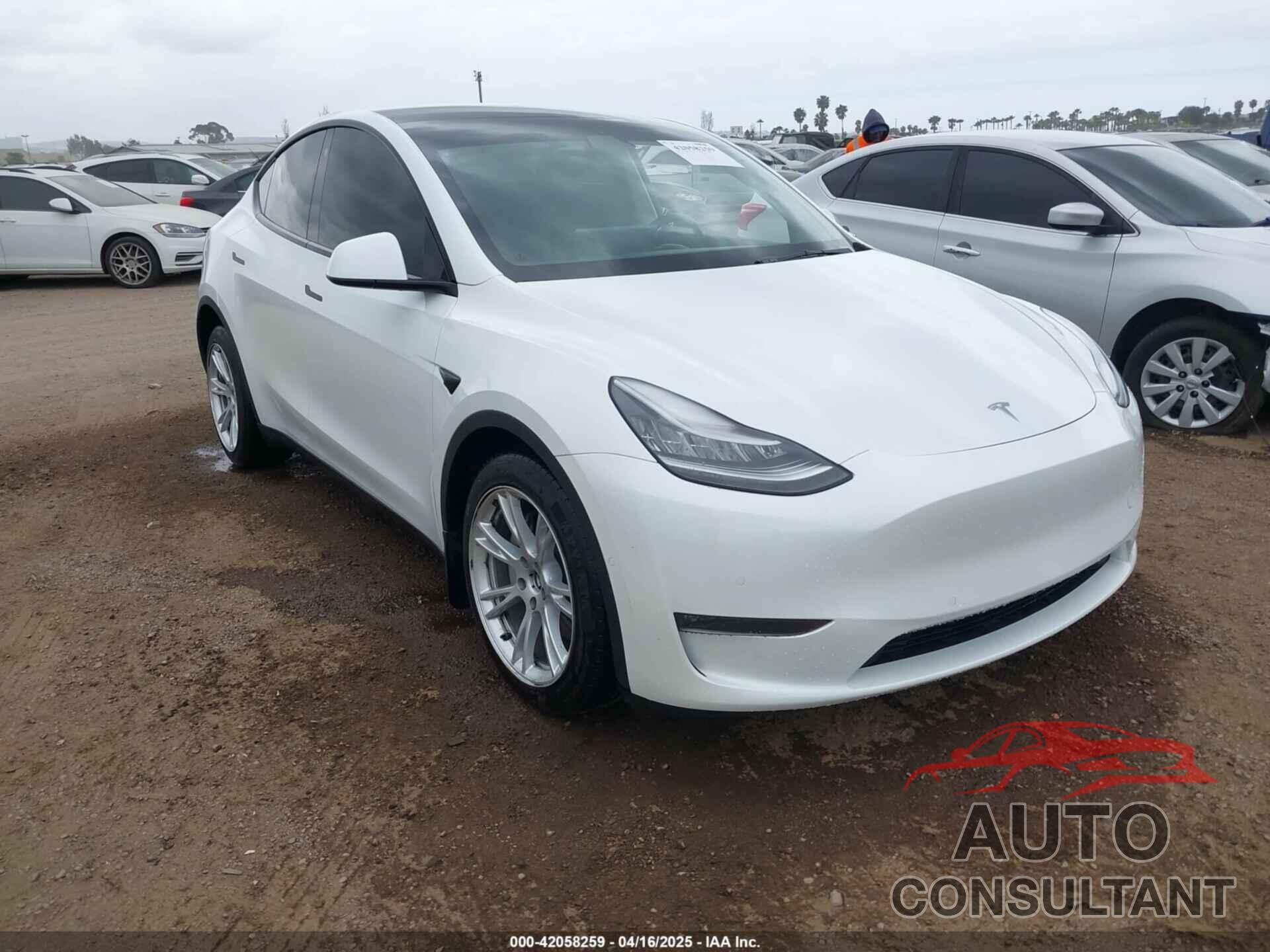 TESLA MODEL Y 2021 - 5YJYGDEE1MF094357